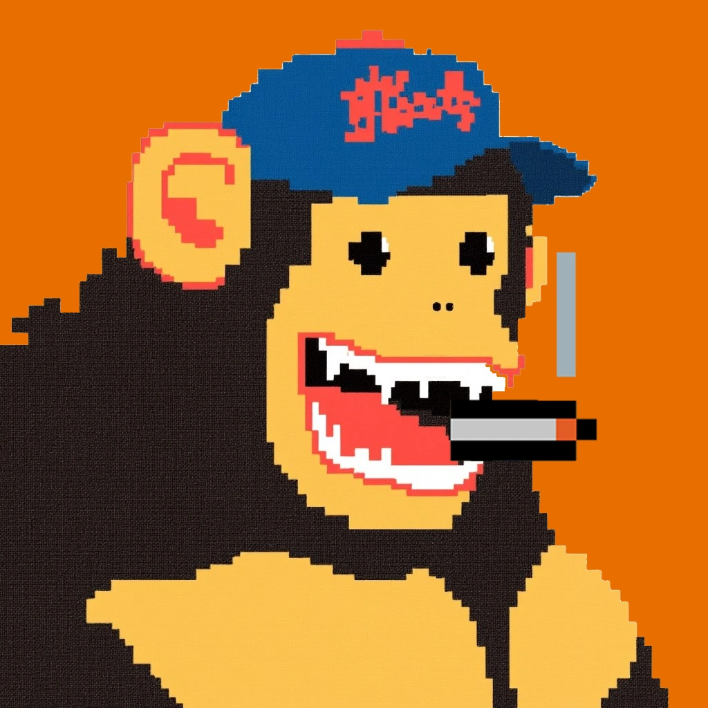 Mister Munkee
