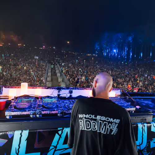 Wholesome Riddim Set @ Lost Lands
