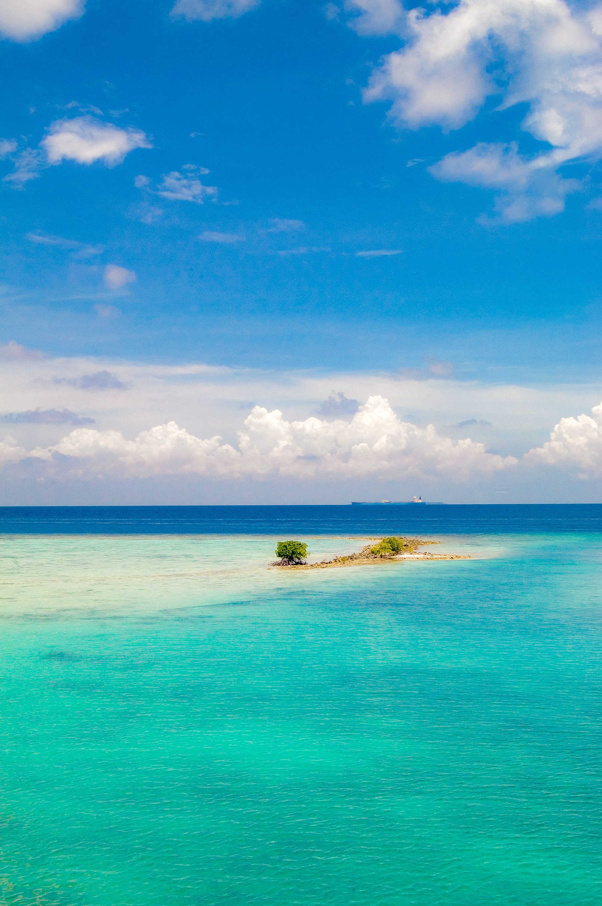 Beauty of Nature #02