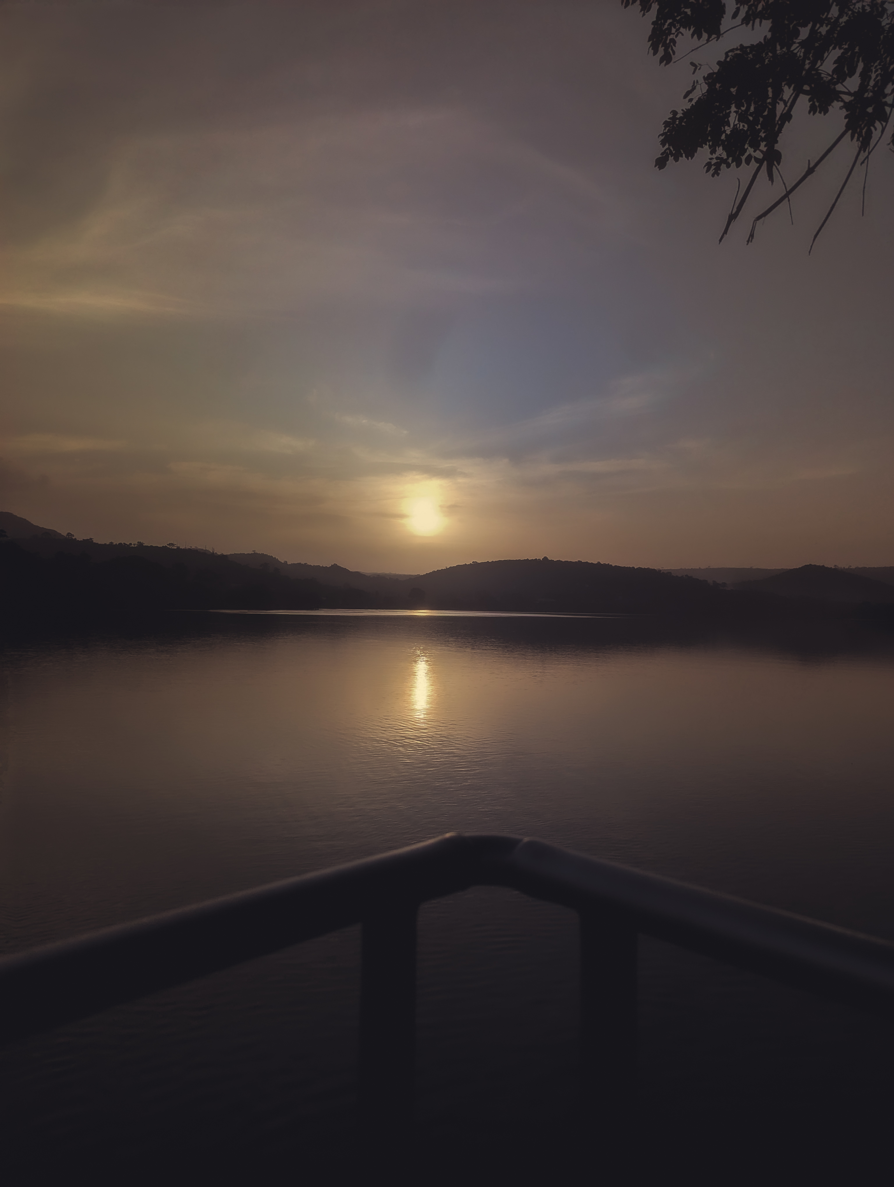 Quiet Light #275
