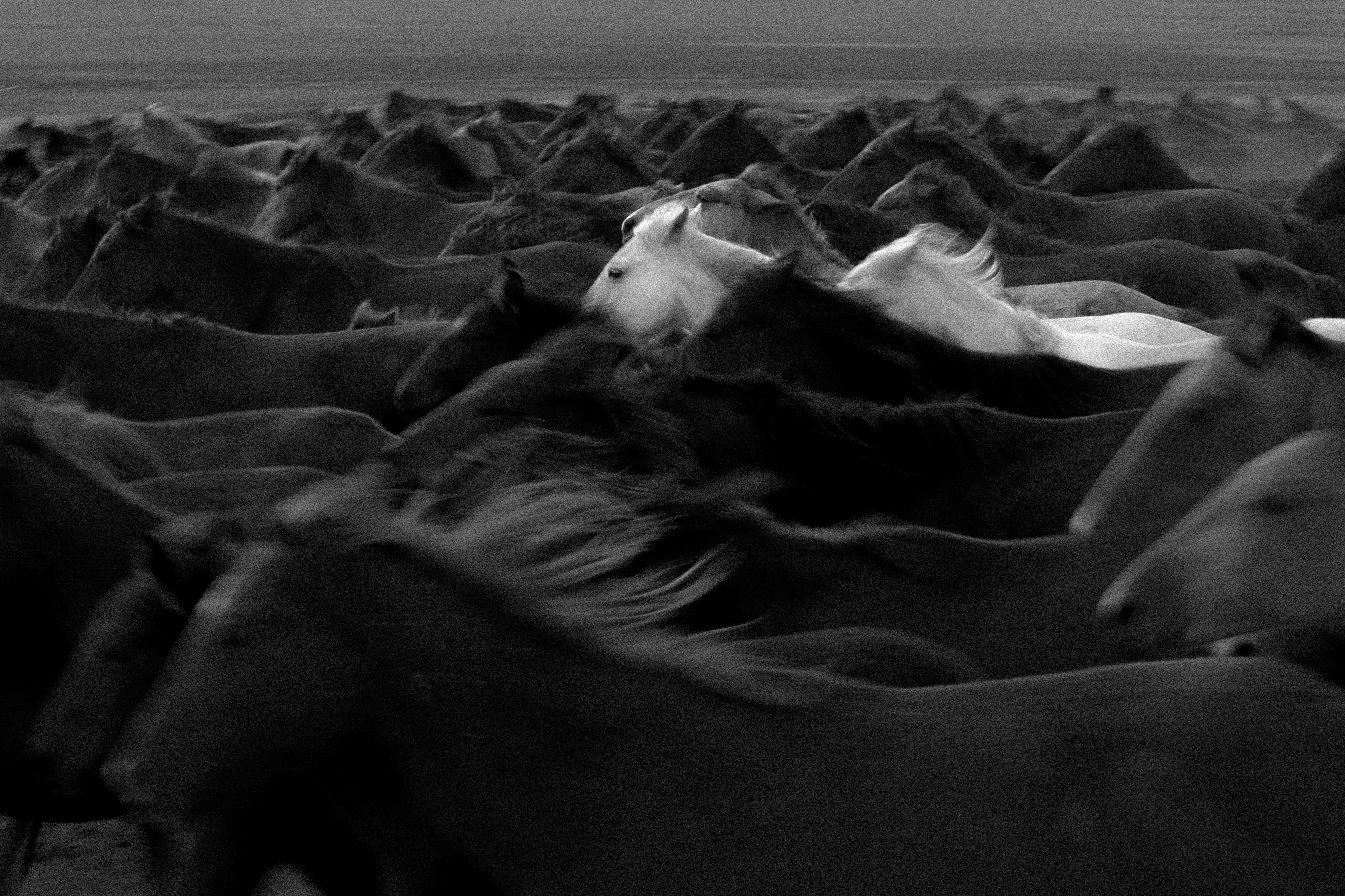 I see you in my dream