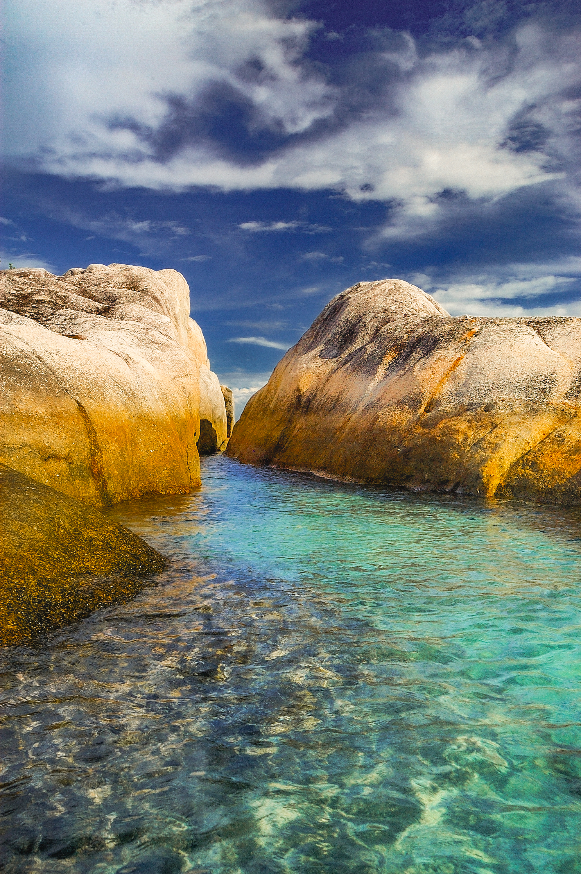 Beauty of Nature #01