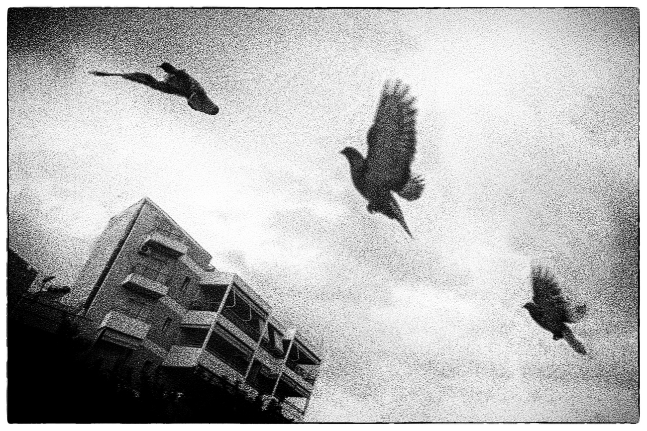 Let's get high (analogue photography) #15
