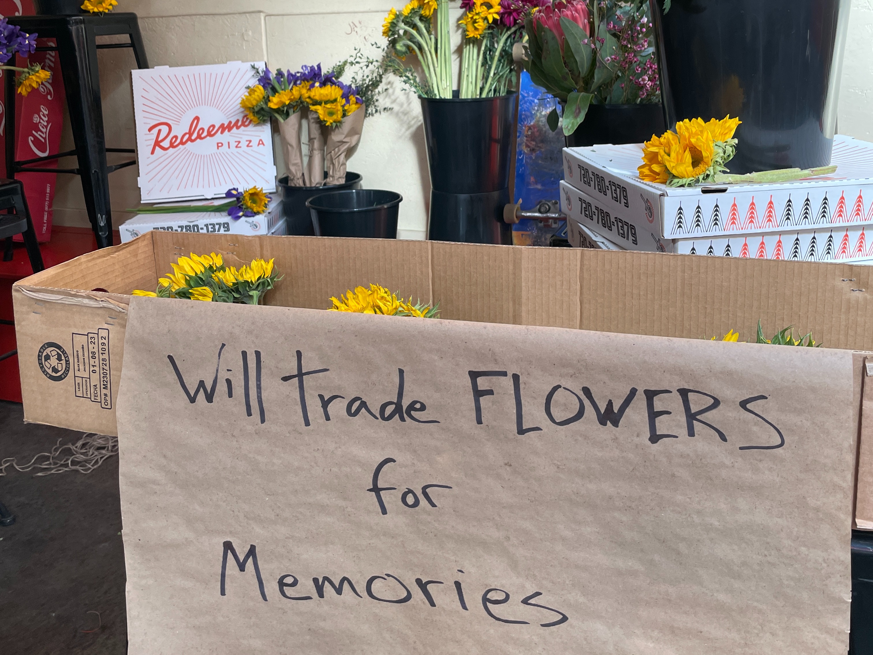 Sometimes a spontaneous idea can change your life....