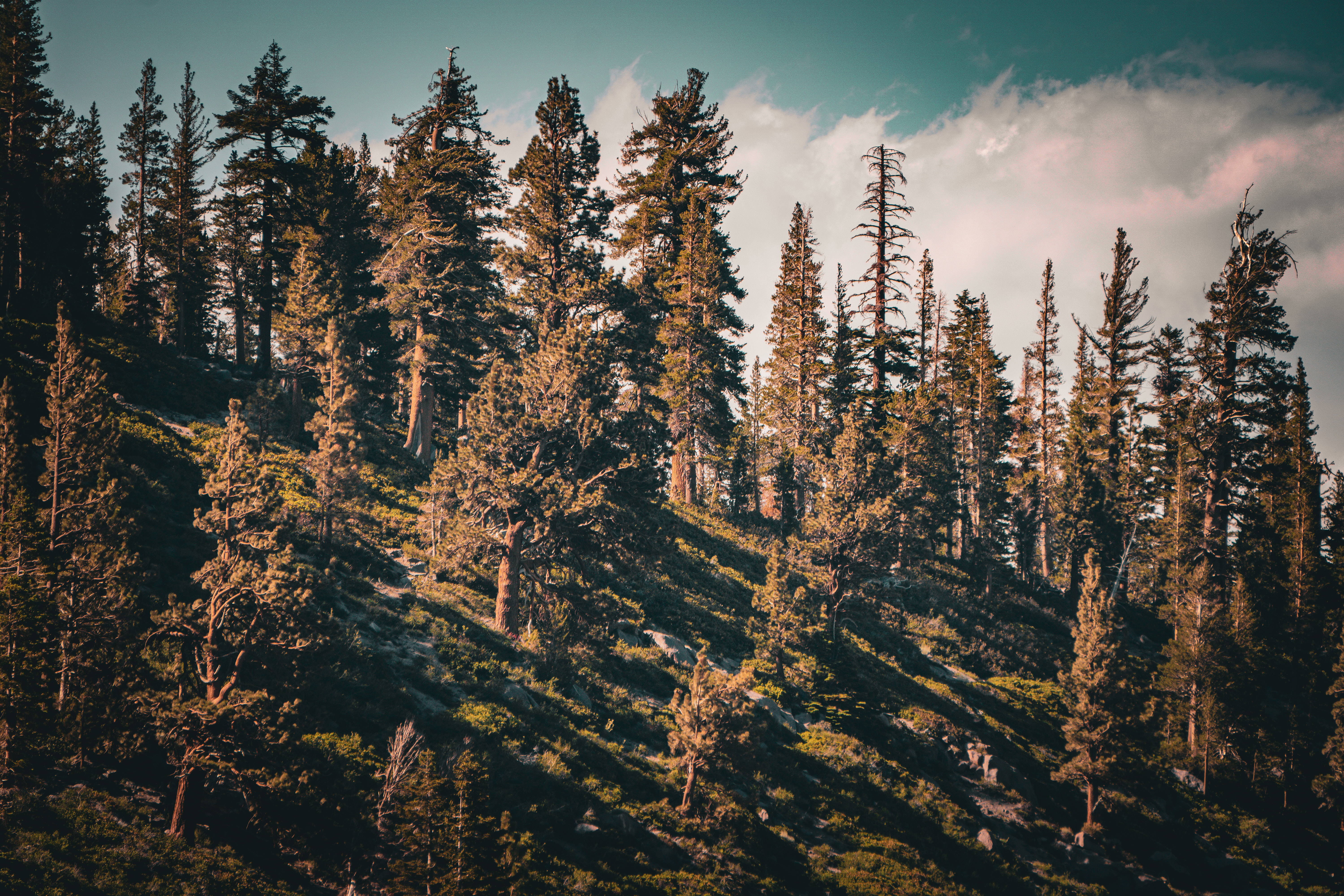 Light and shadows in Mammoth