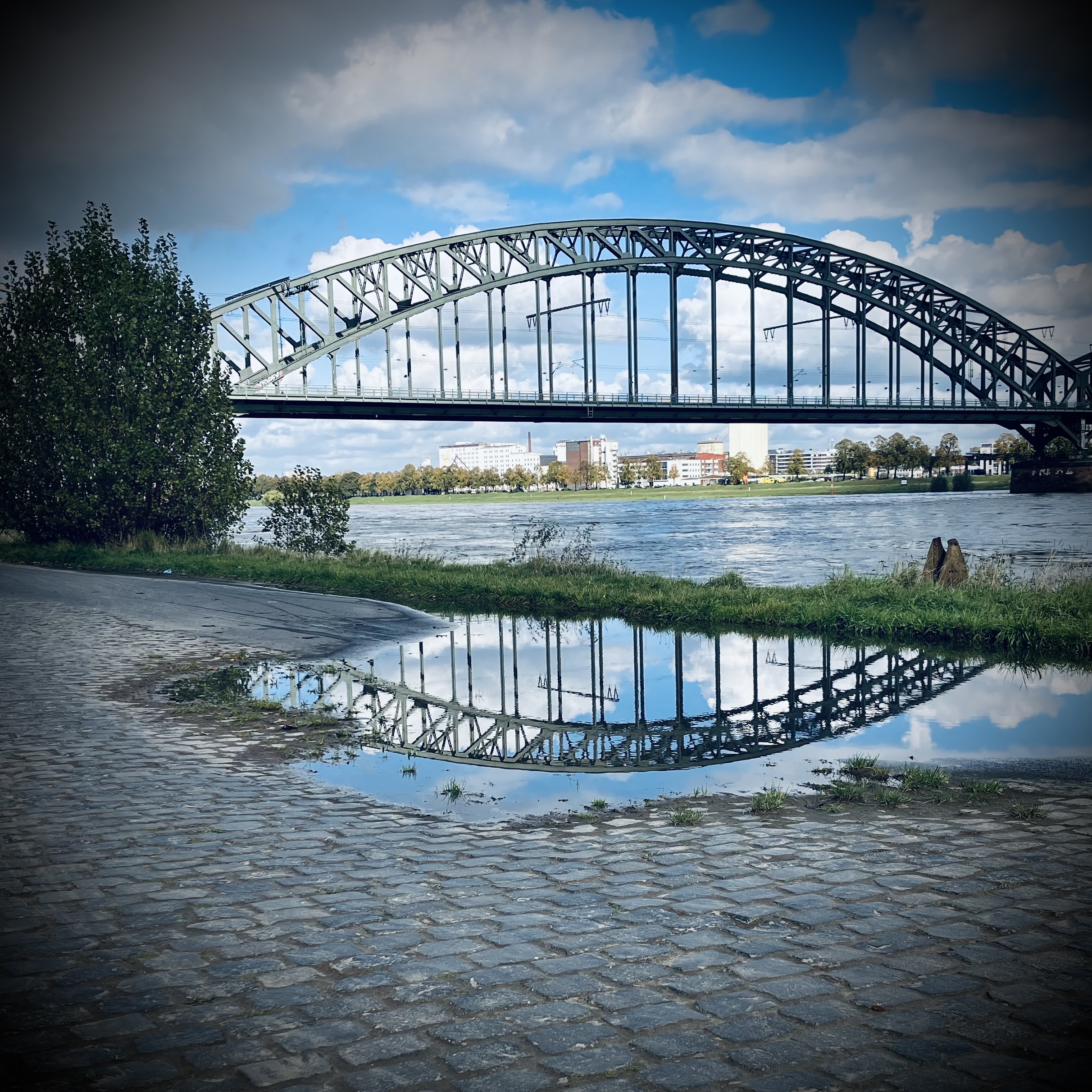 Bridge in the Puddle
