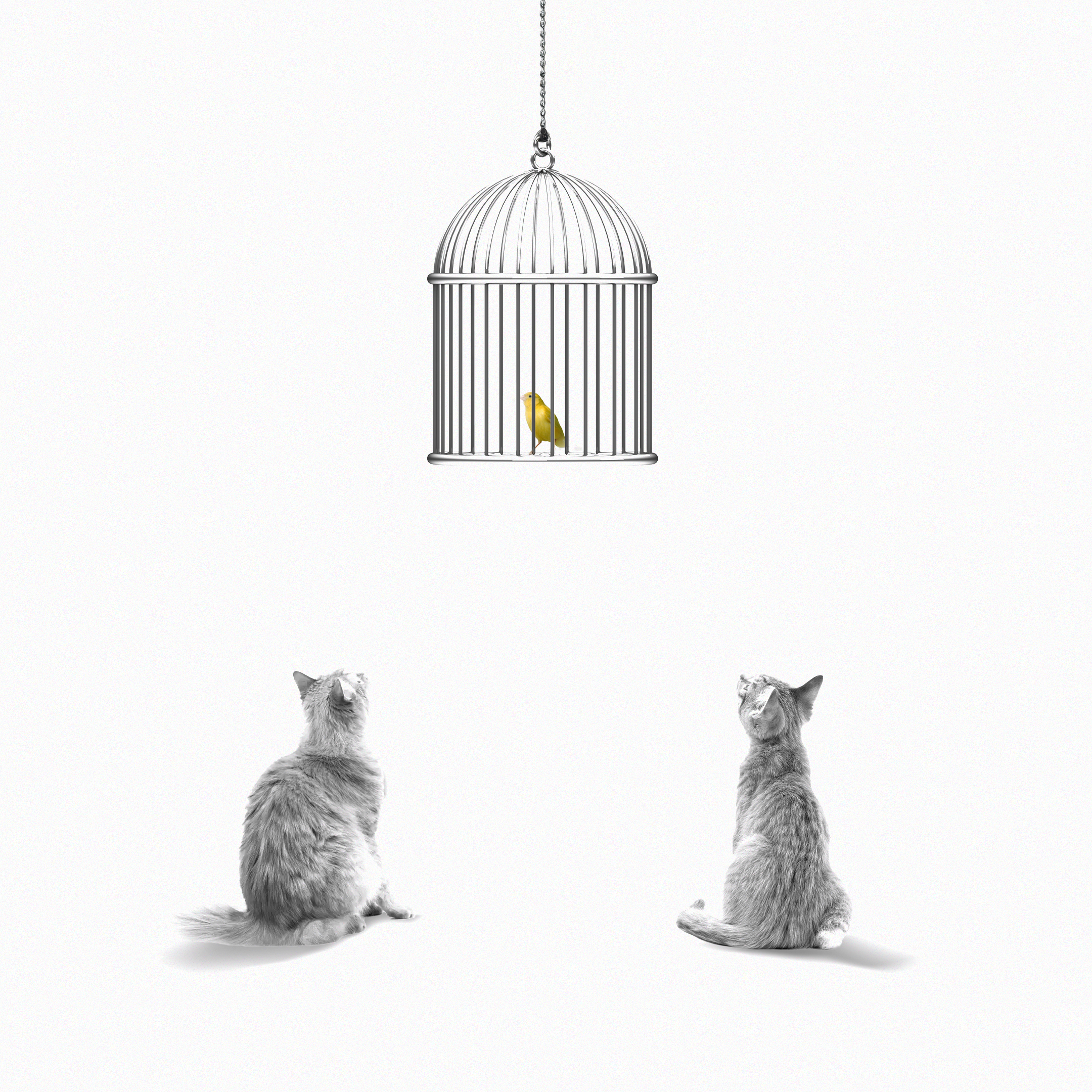 GET OUT OF YOUR COMFORT ZONE