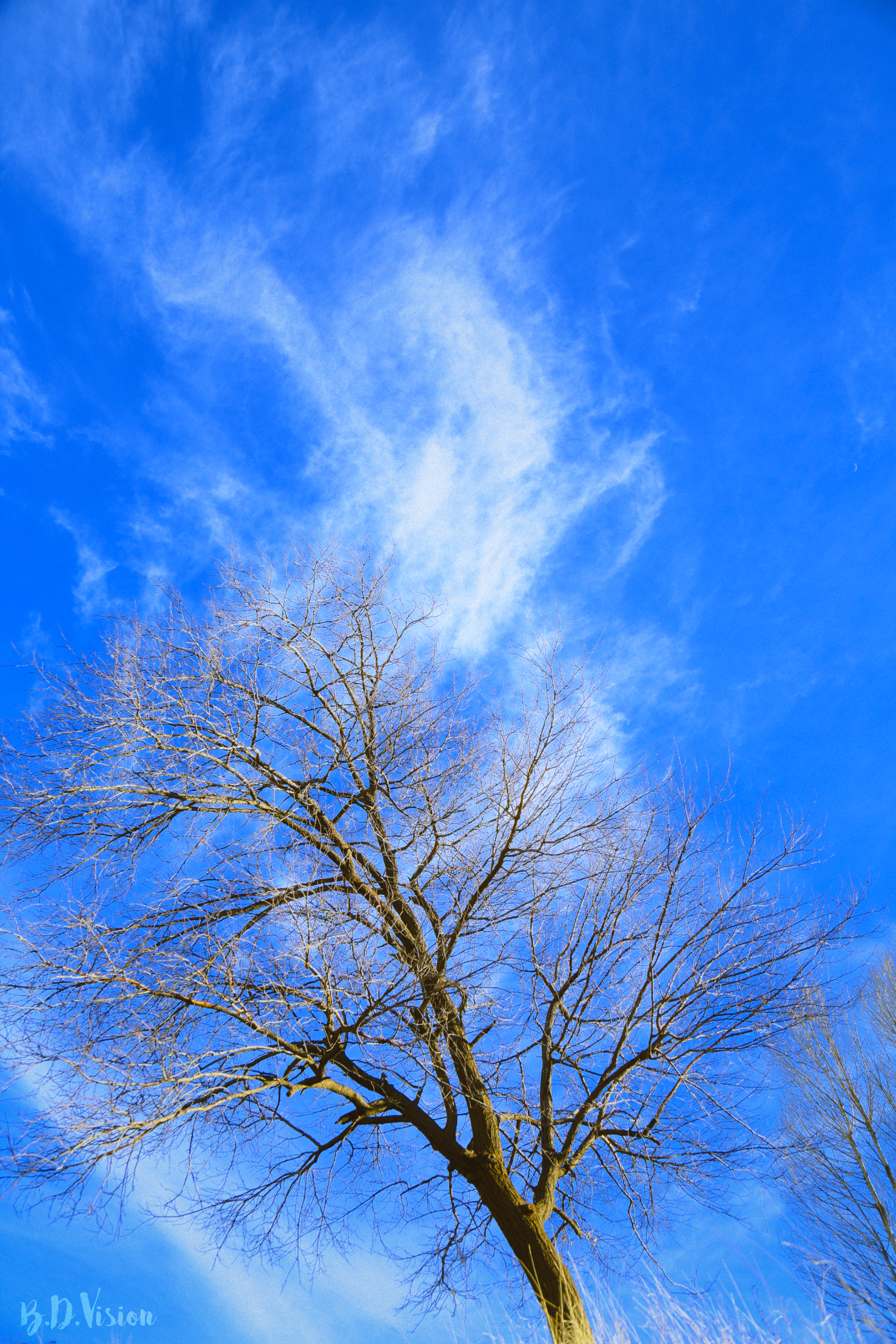 Silent Rebirth #11