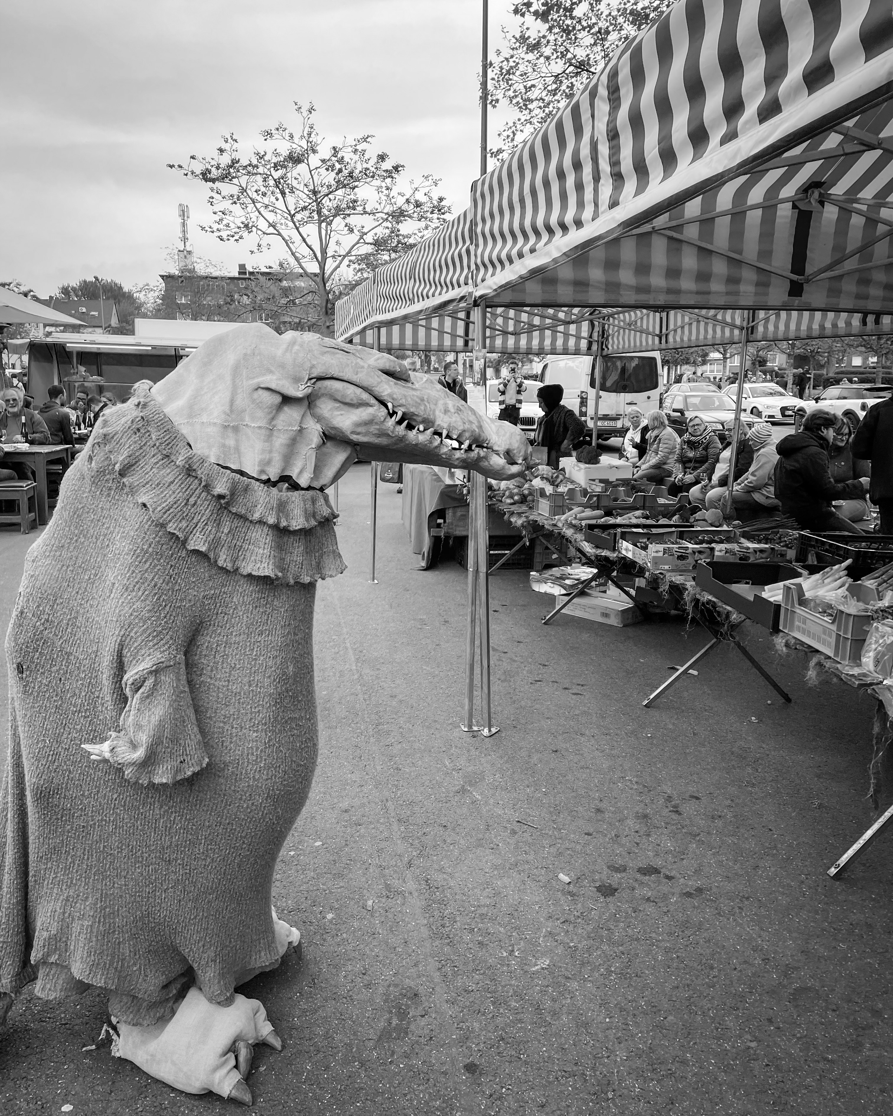 Croc at market
