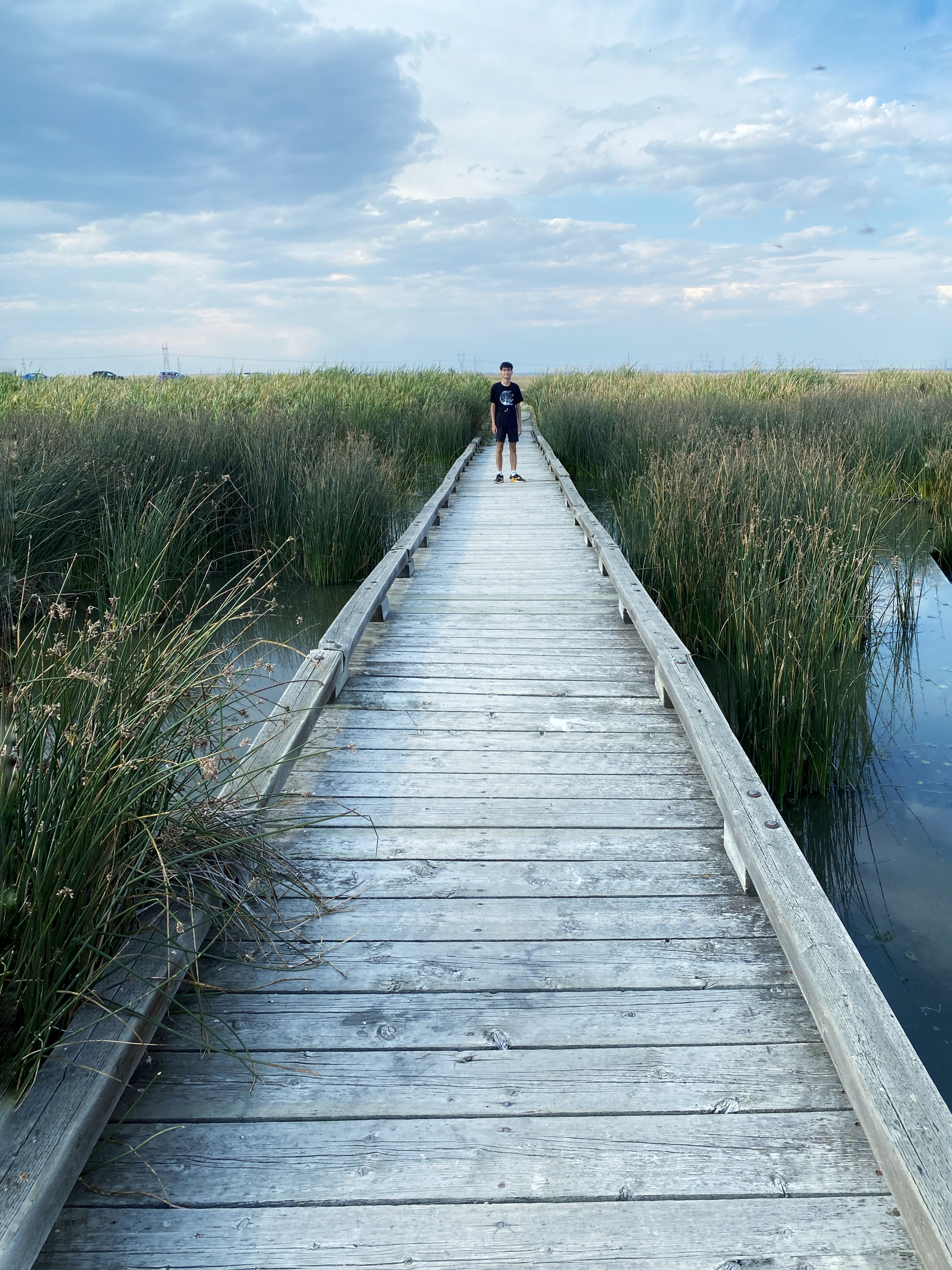 Walk the dock
