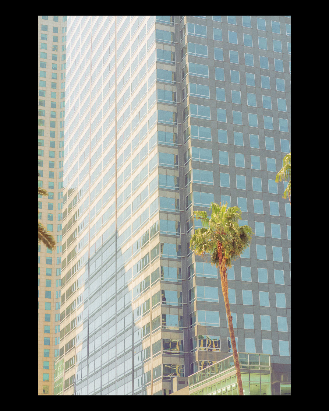 Forgotten Frames — 022