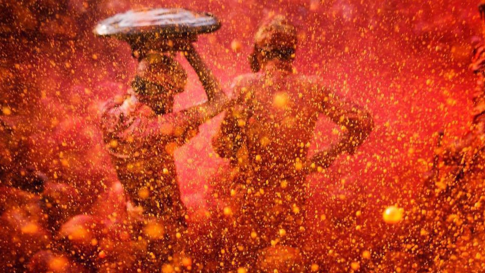 The riot of Colours 🔥