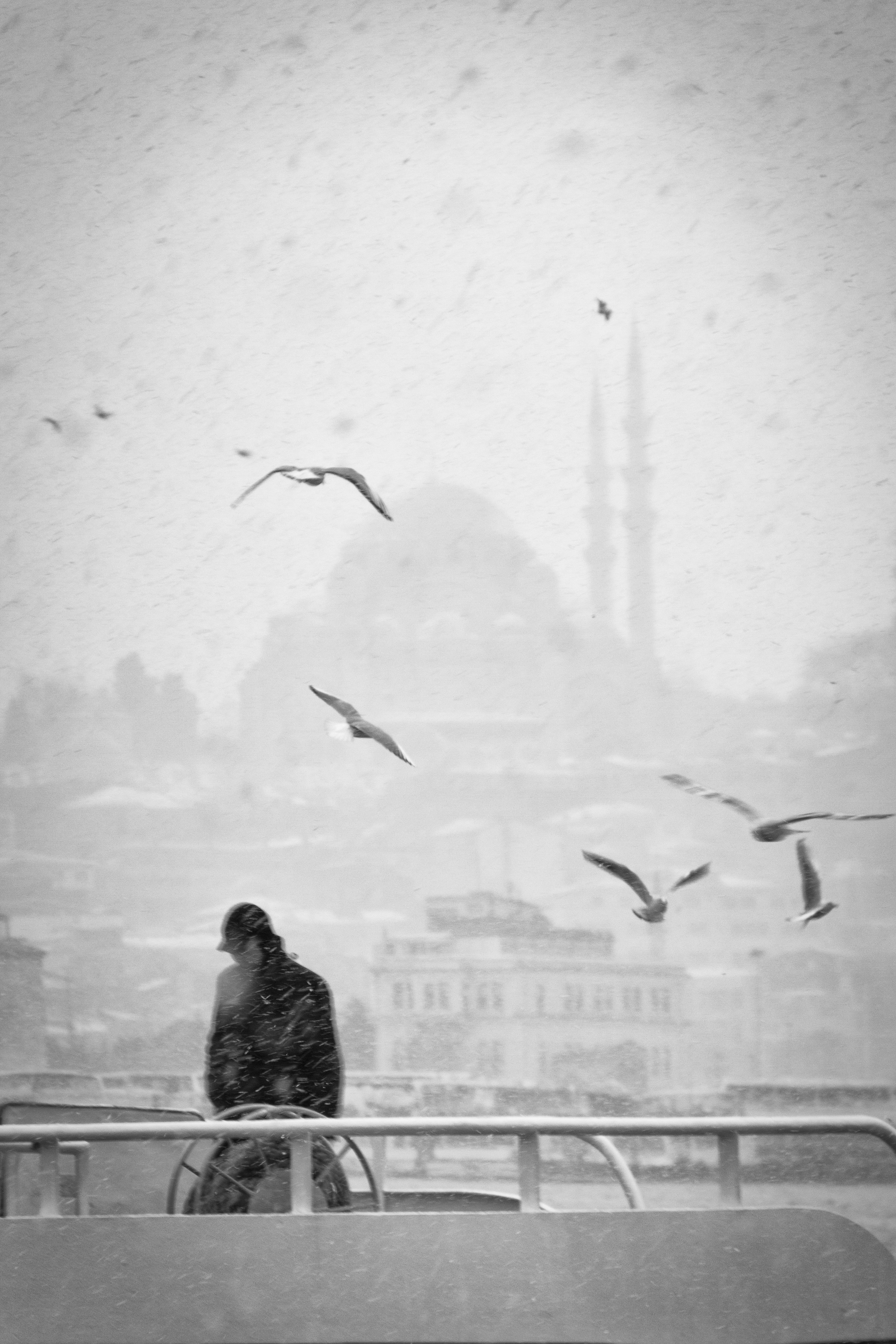 Life in snow #1