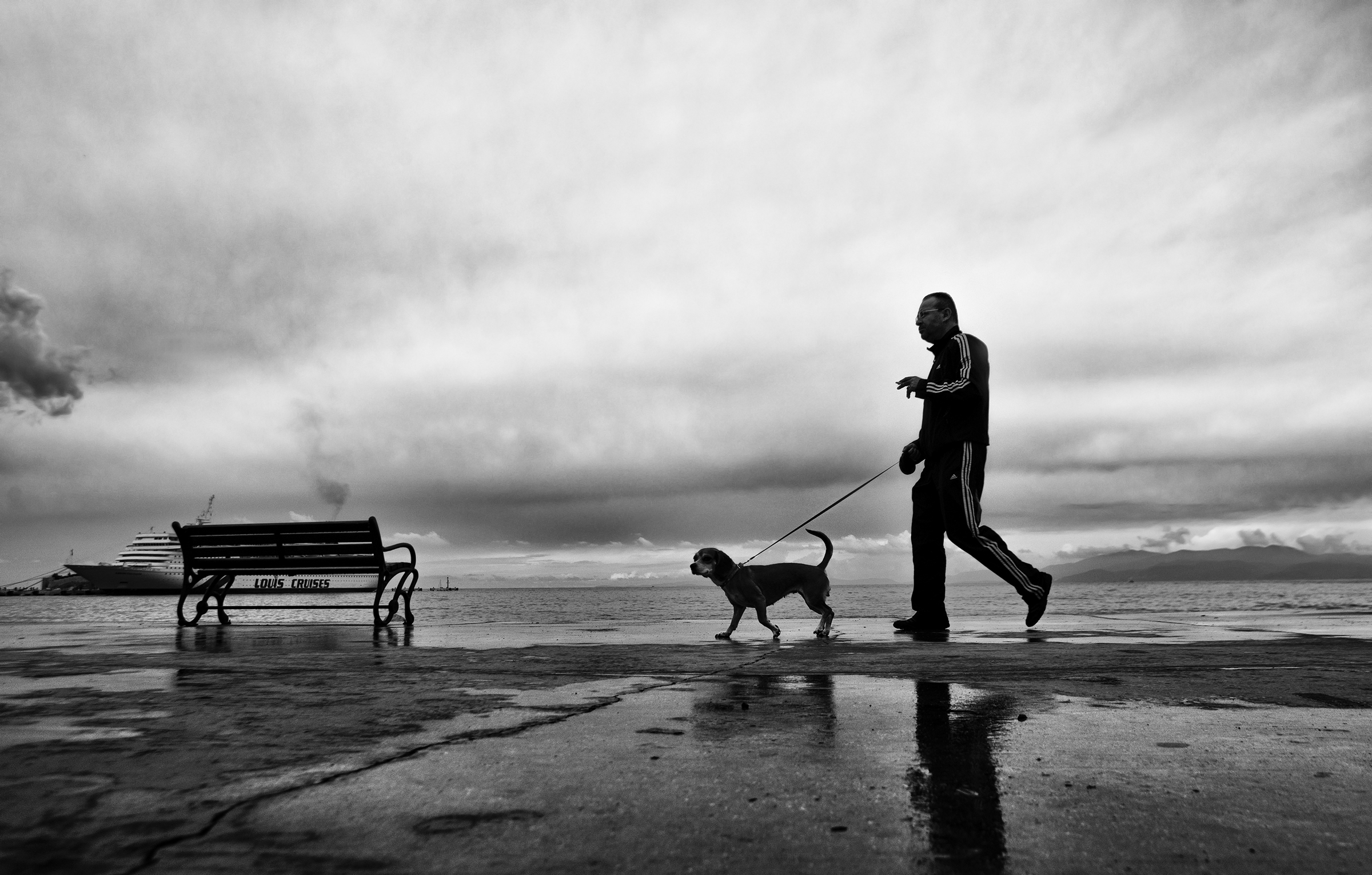 Two friends in the rain #15