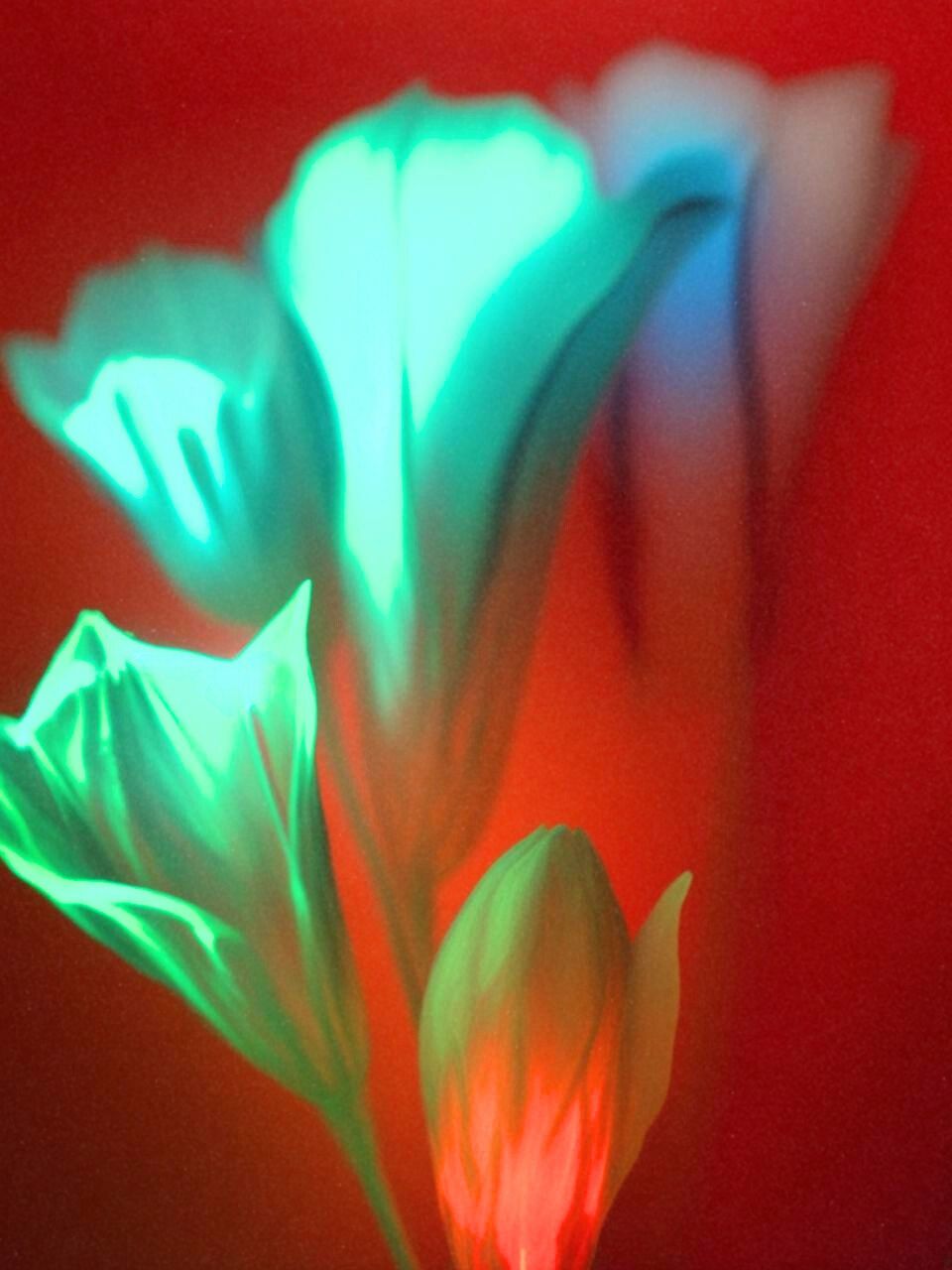 synthetic blooms