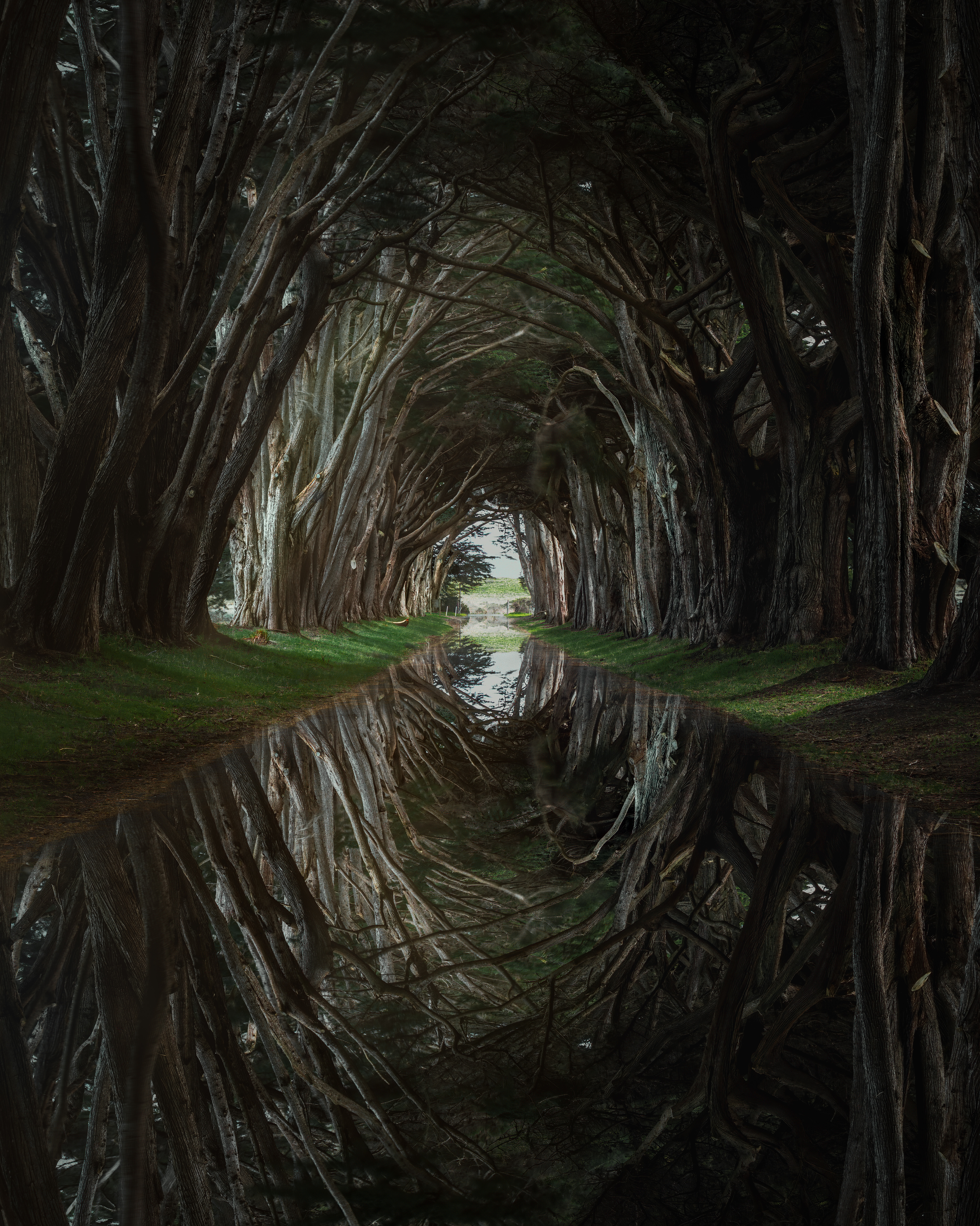 Tunnel Vision