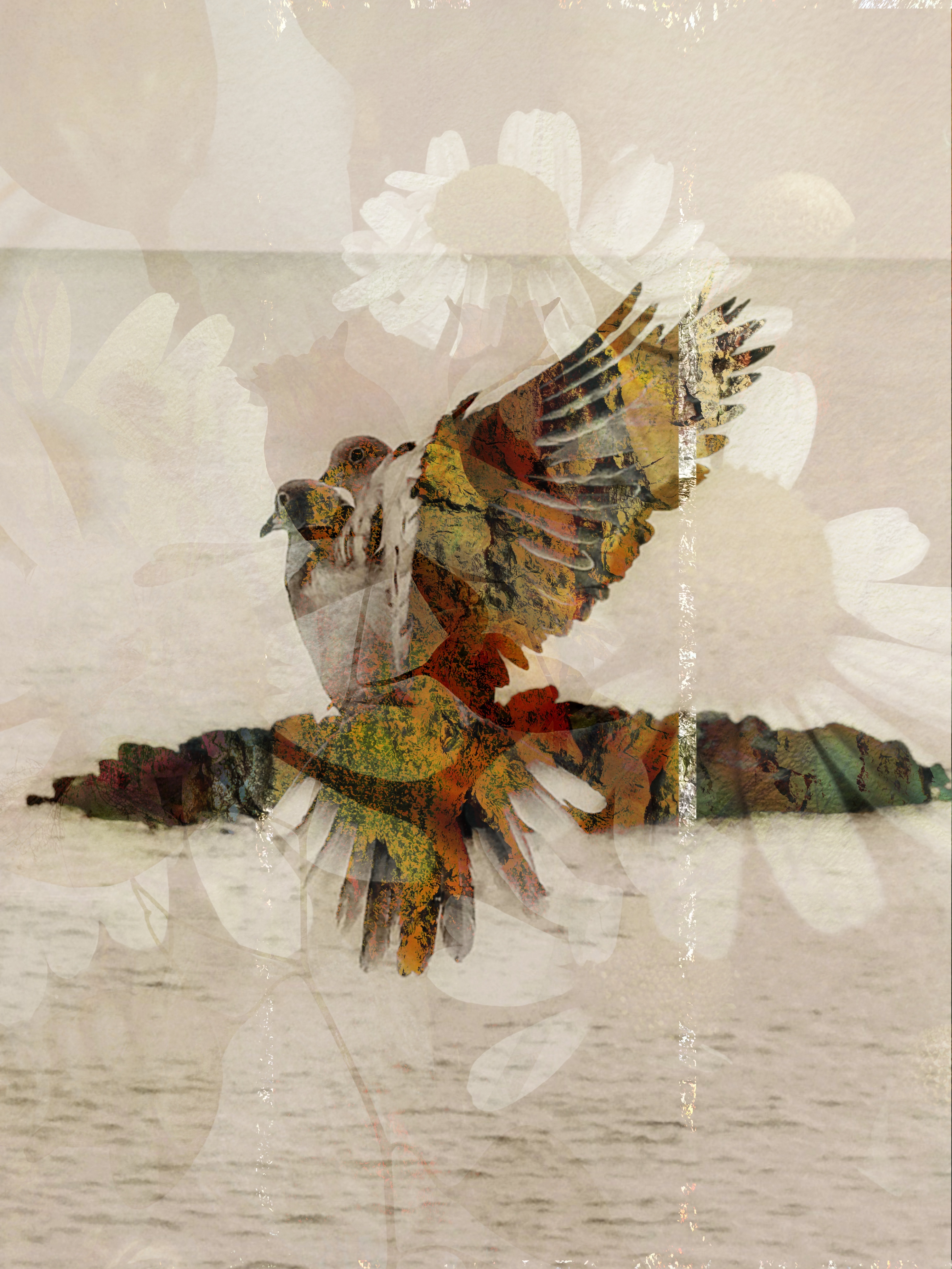 Harmony of Wings #23