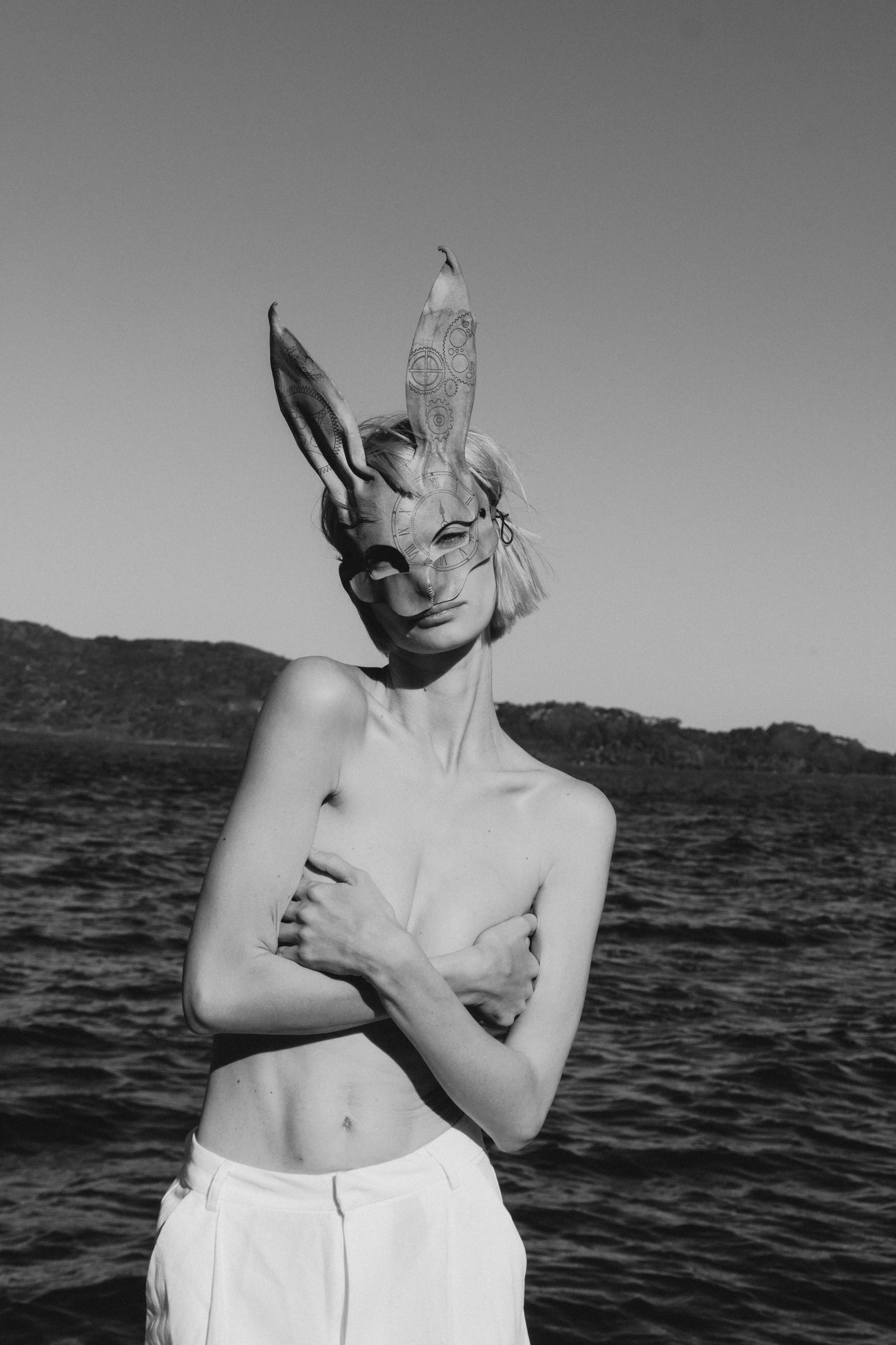 rabbit