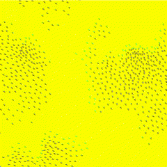 Yellow Run #15