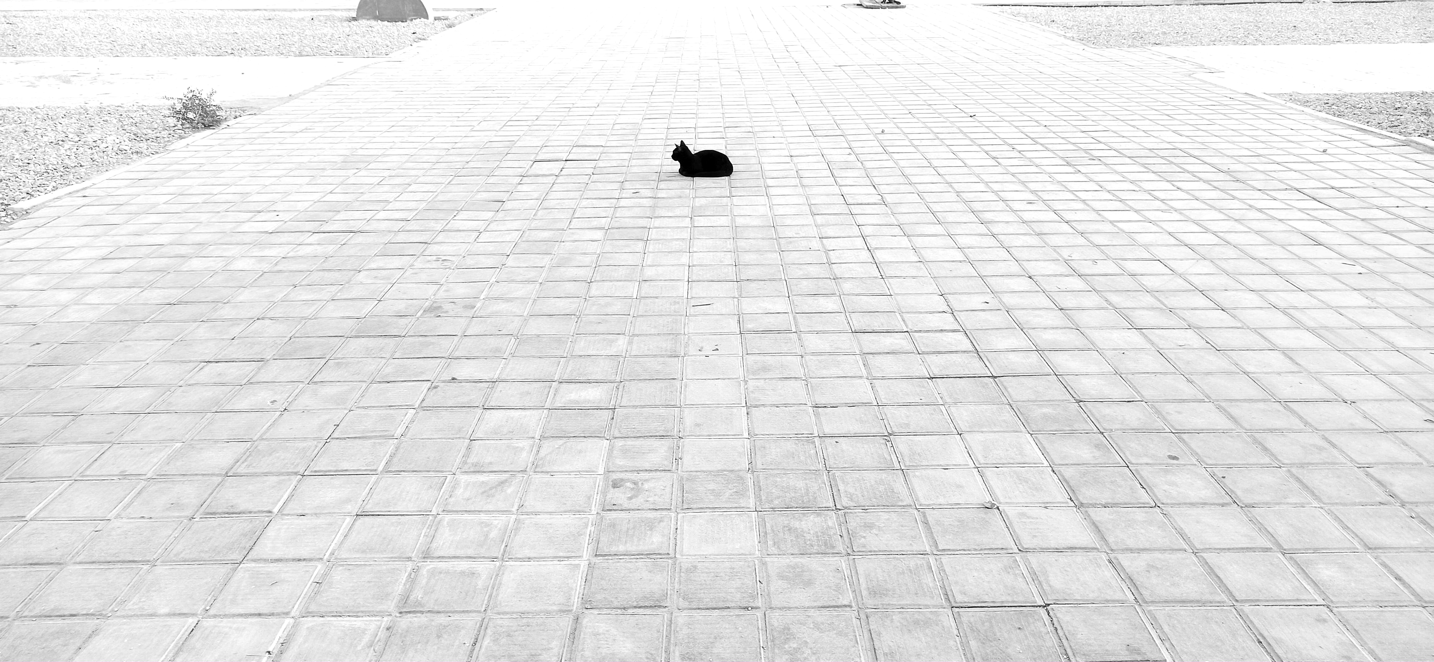 Loneliness or a lifeless piece. #25