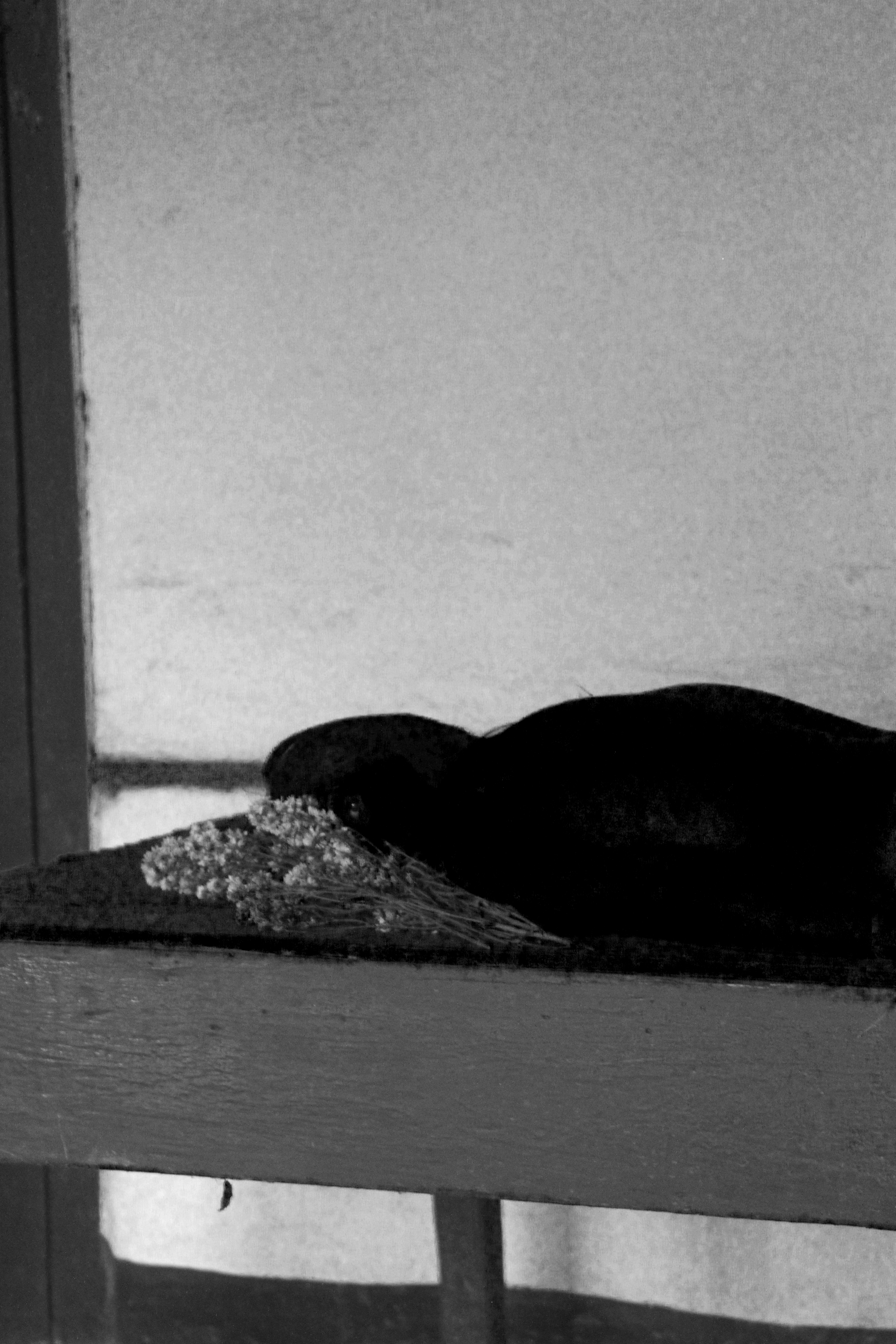 Todas as coisas dentro de mim