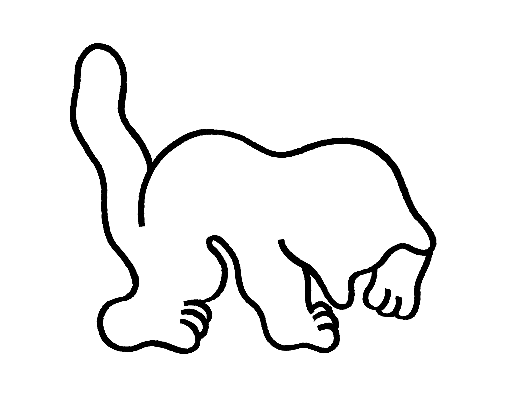 playing cat study n.2