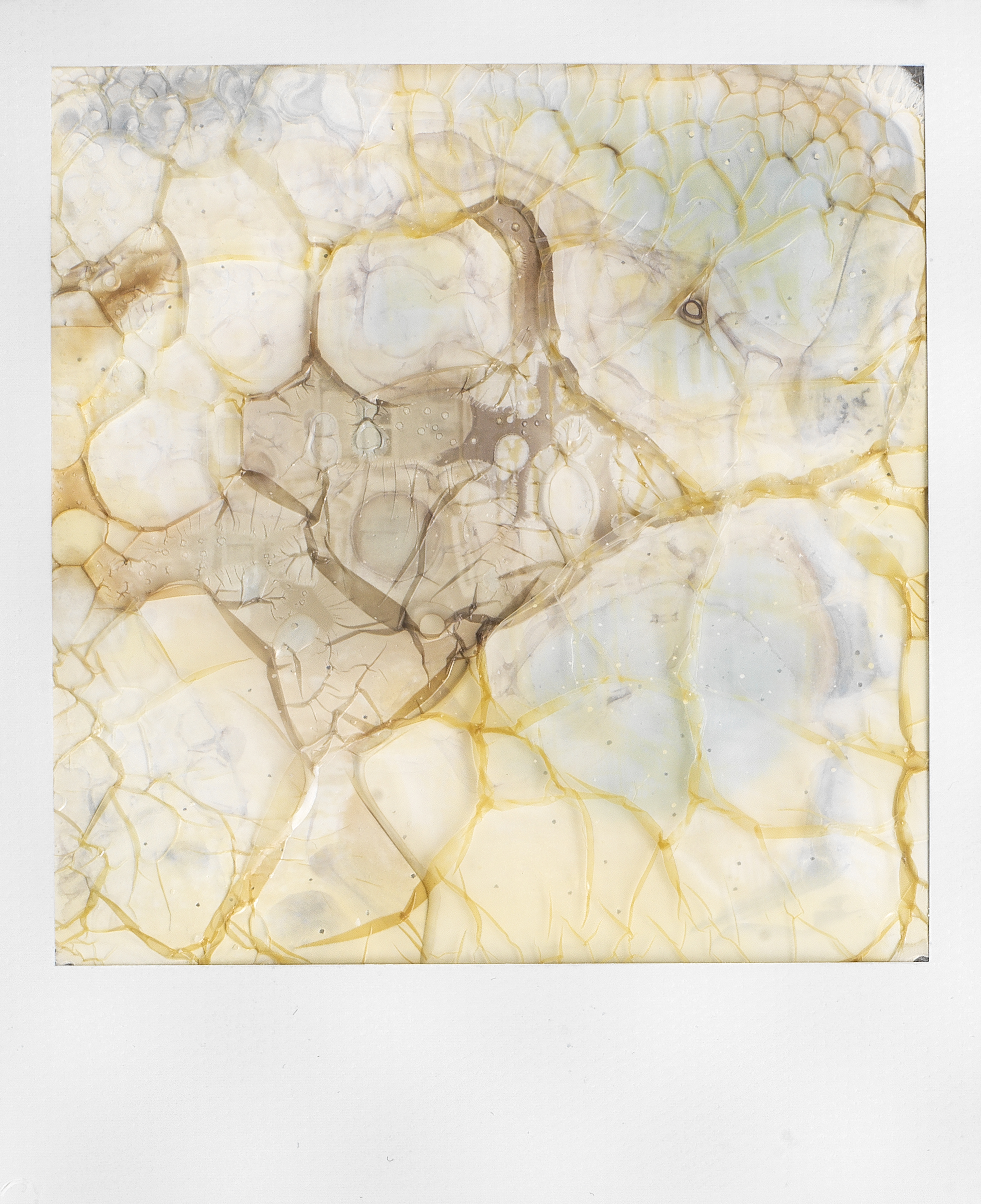 "Cretto" 2 Inspired by Alberto Burri