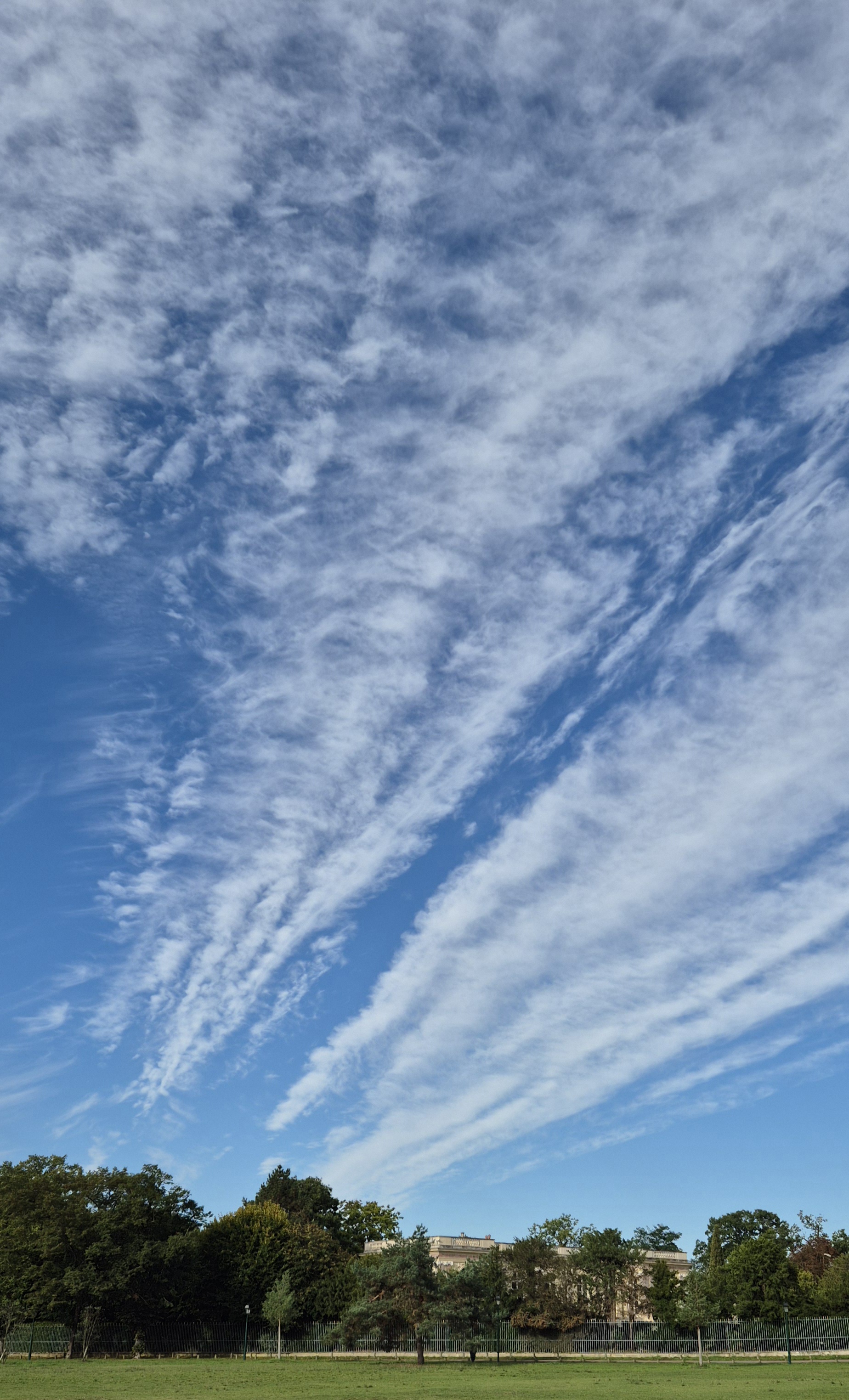 Cloud over a punk palace