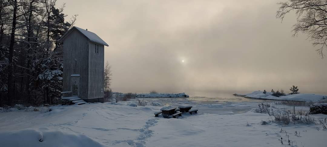 Echoes of winter solitude #41