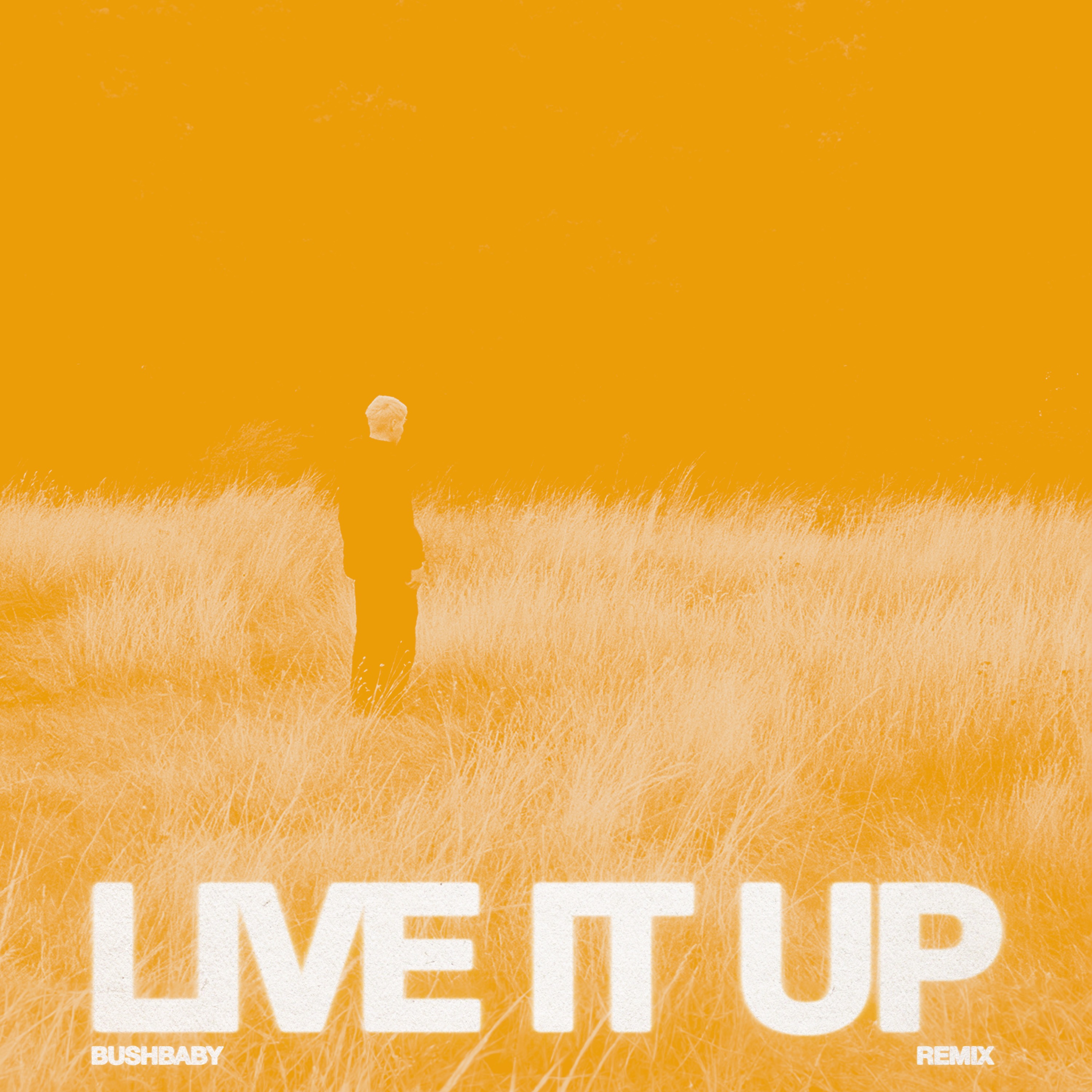 LIVE IT UP (Bushbaby Remix) - Free #86