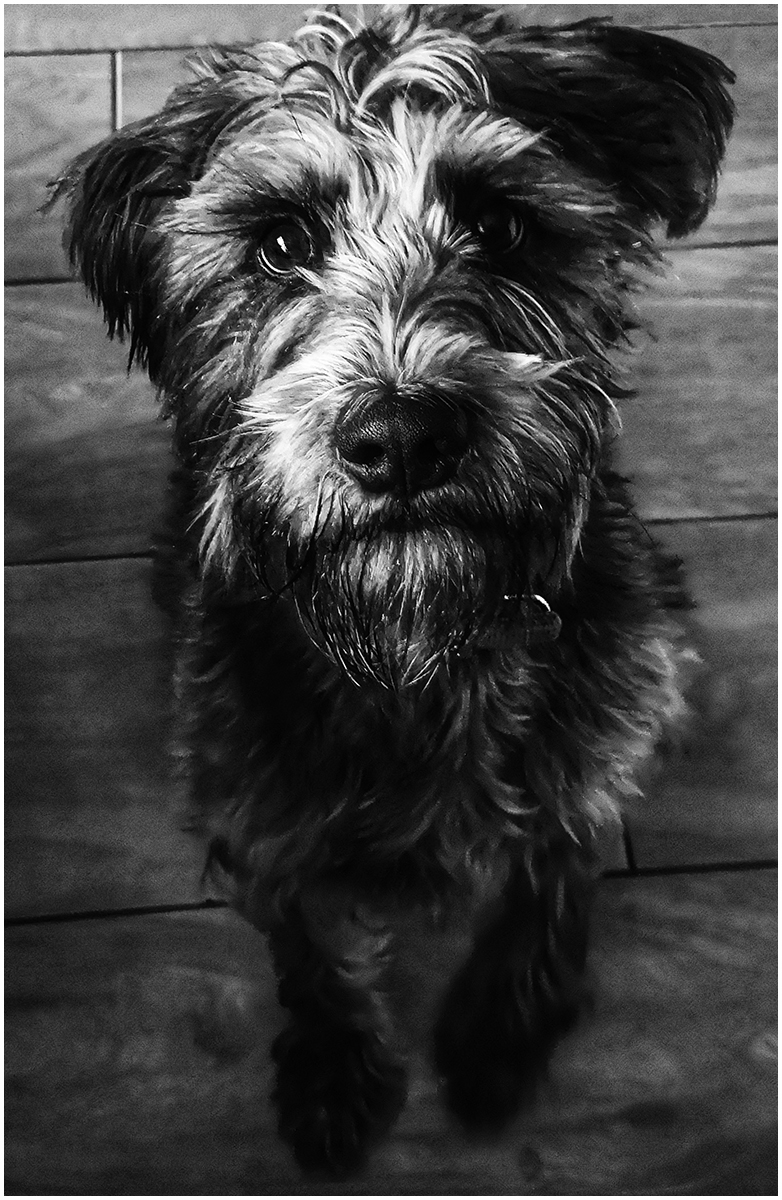 Meet Pilot #11
