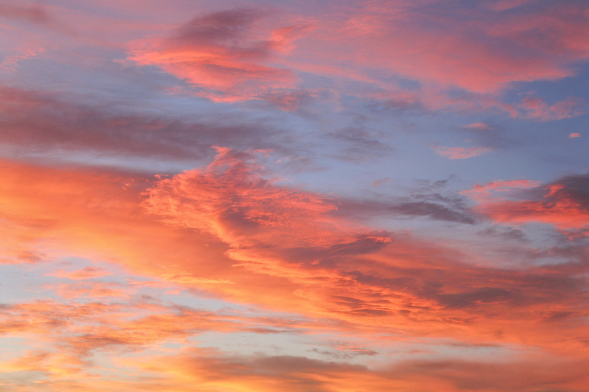 Pastel Ceiling