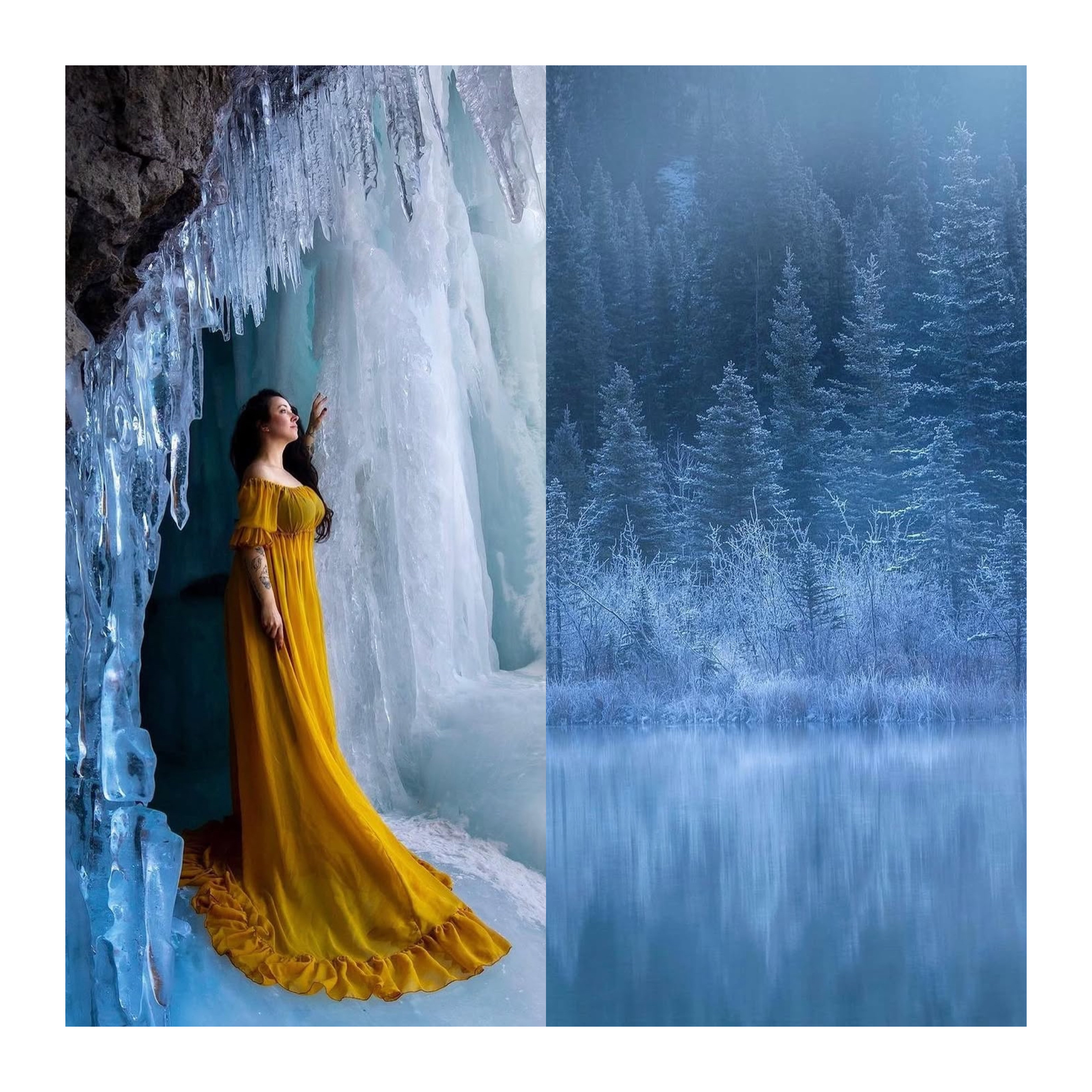 Winter knits her forest with frost