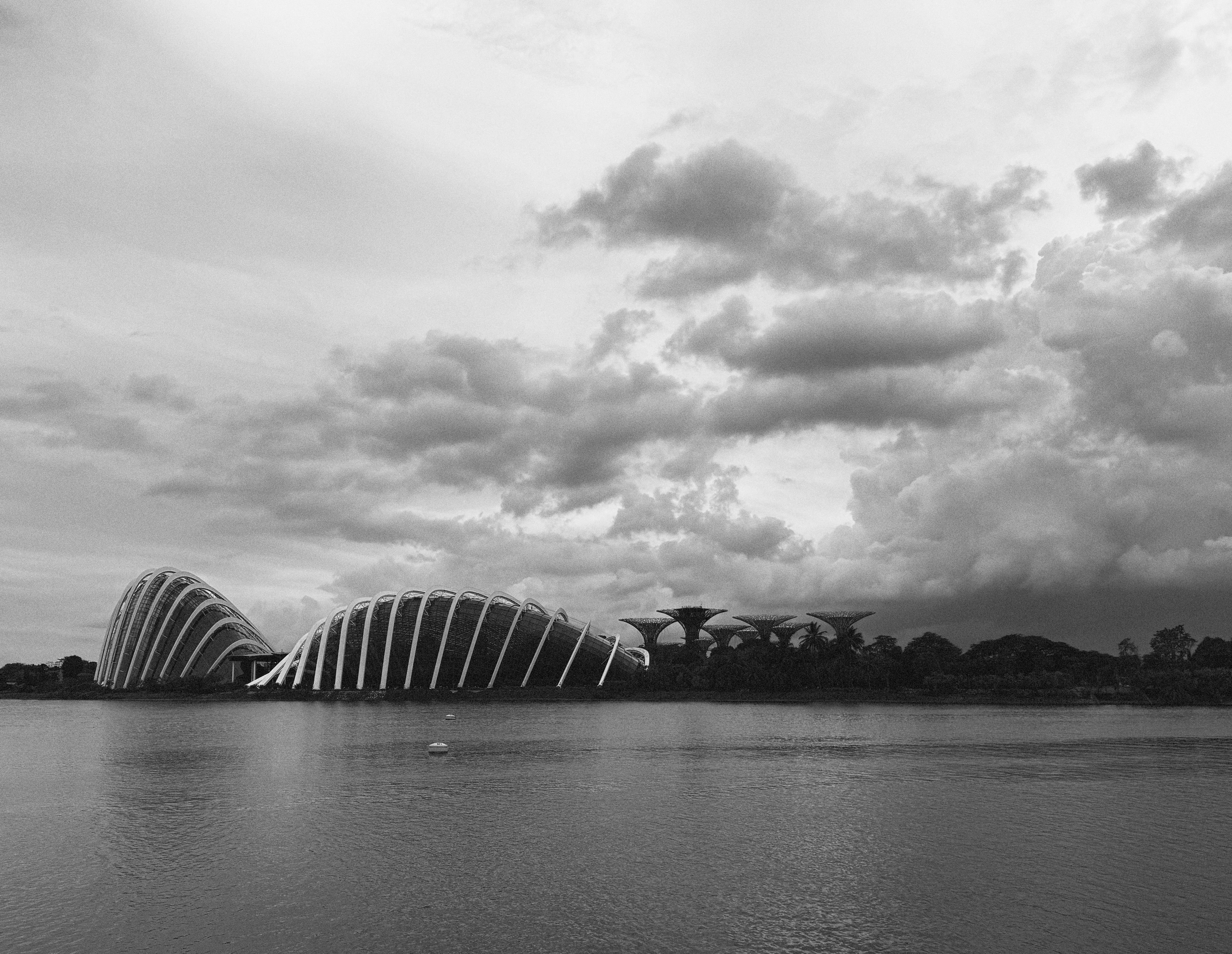 BnW Film Emulation #3