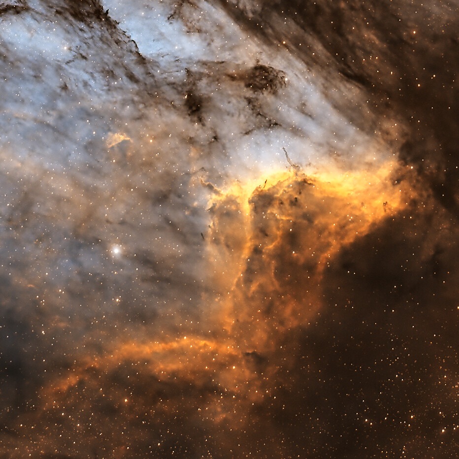 The Pelican Nebula