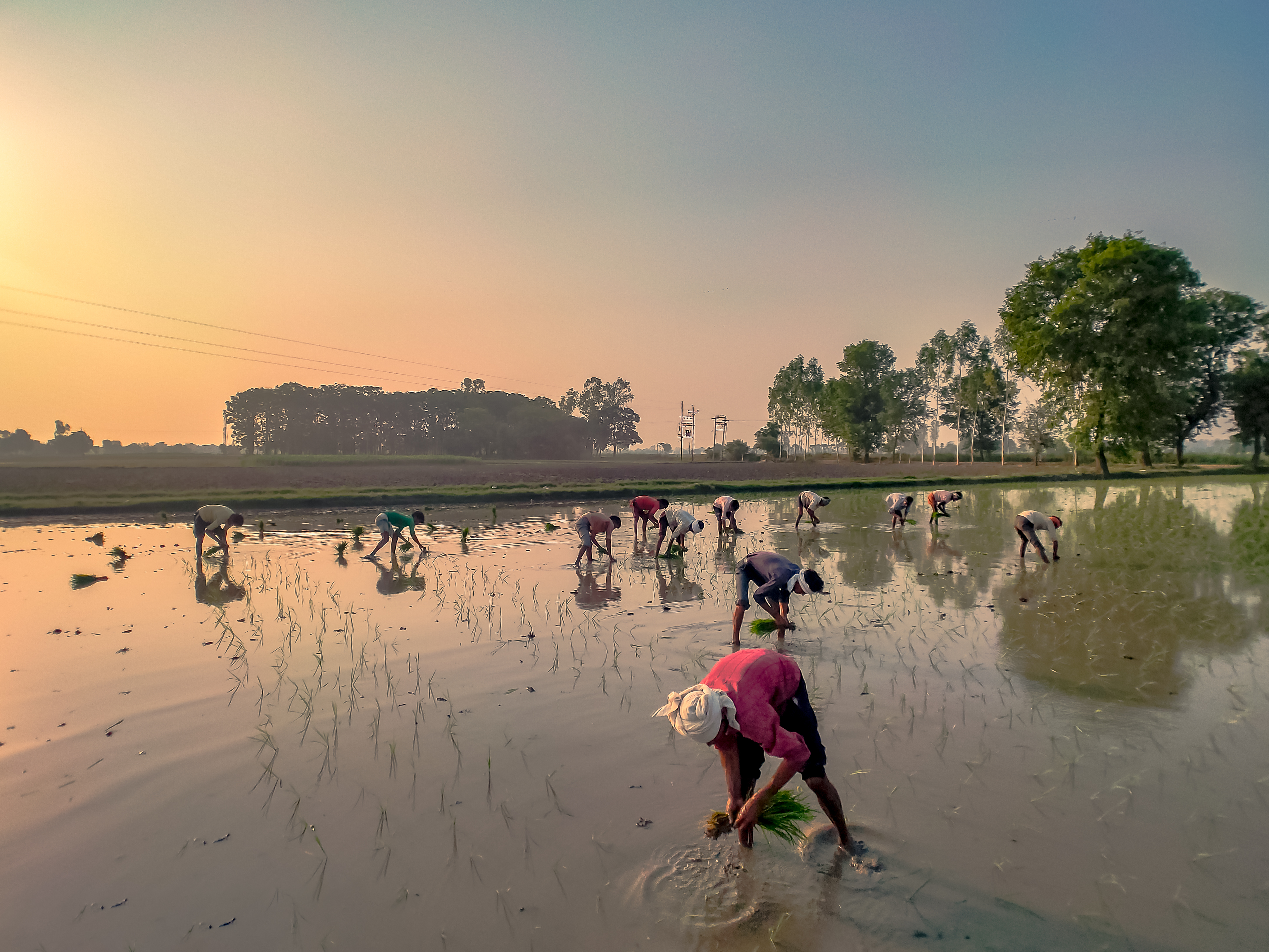 Morning Hymns of Punjab #19