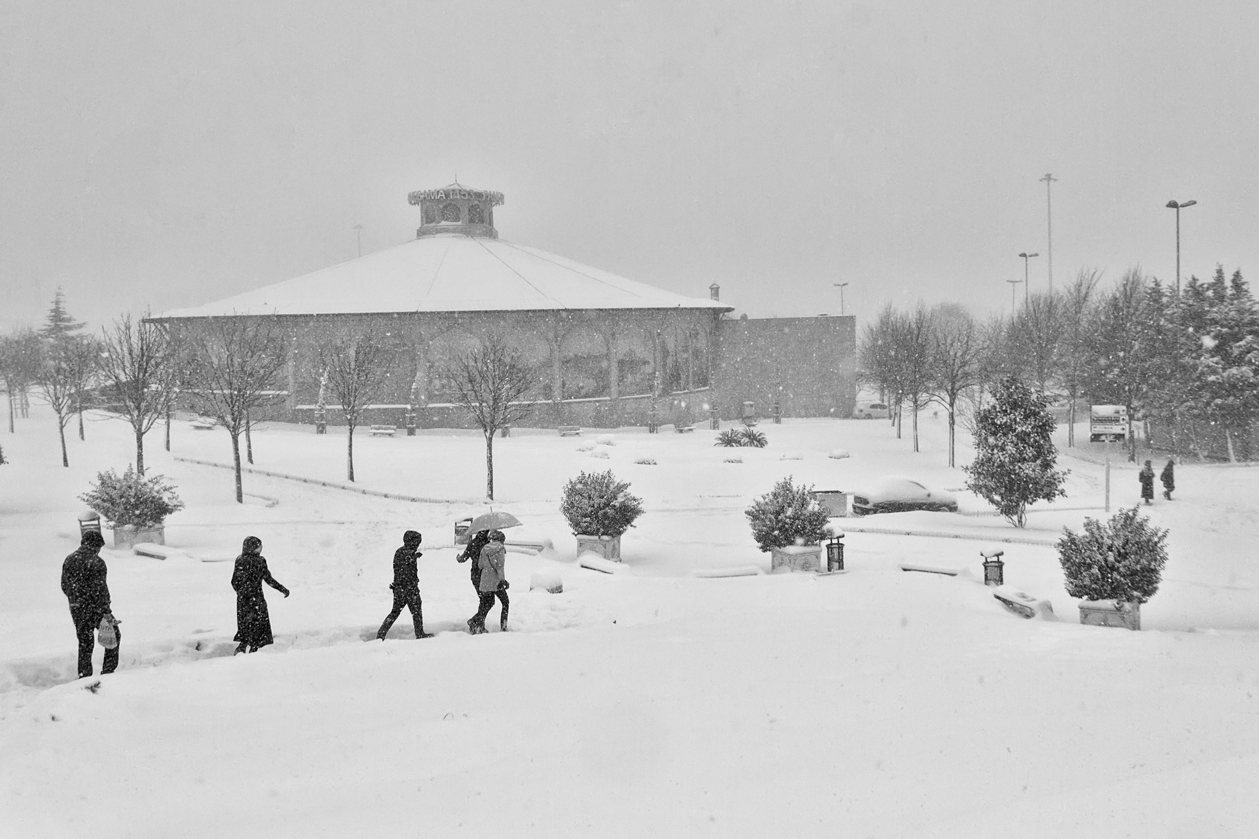 White Journey #41