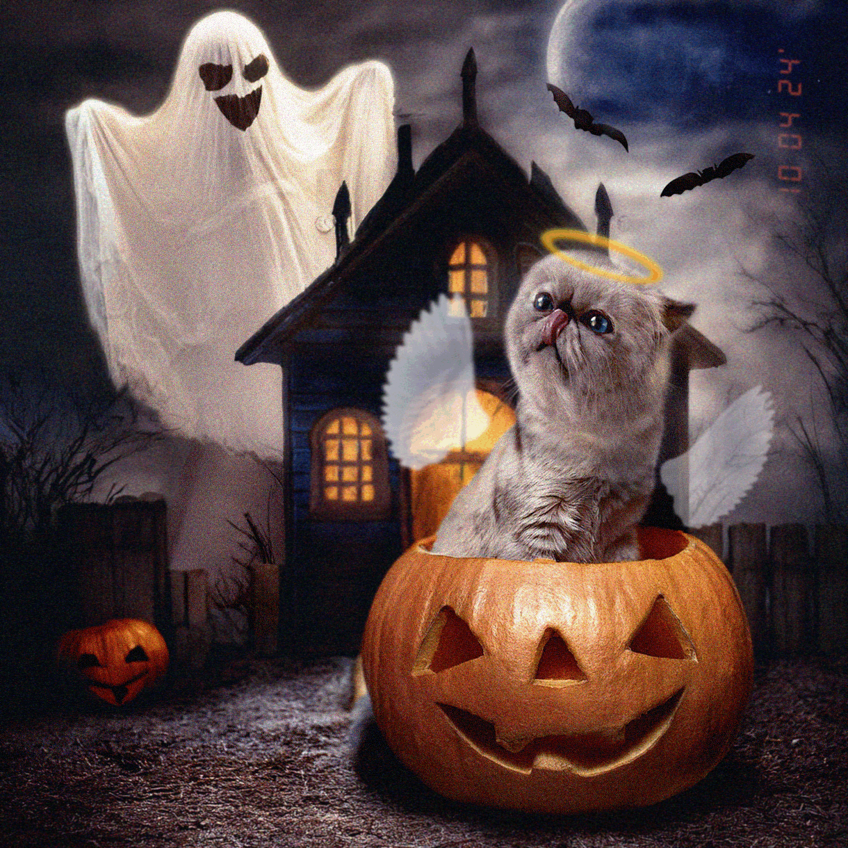 Welcome to the Miggleverse ⚡ #3