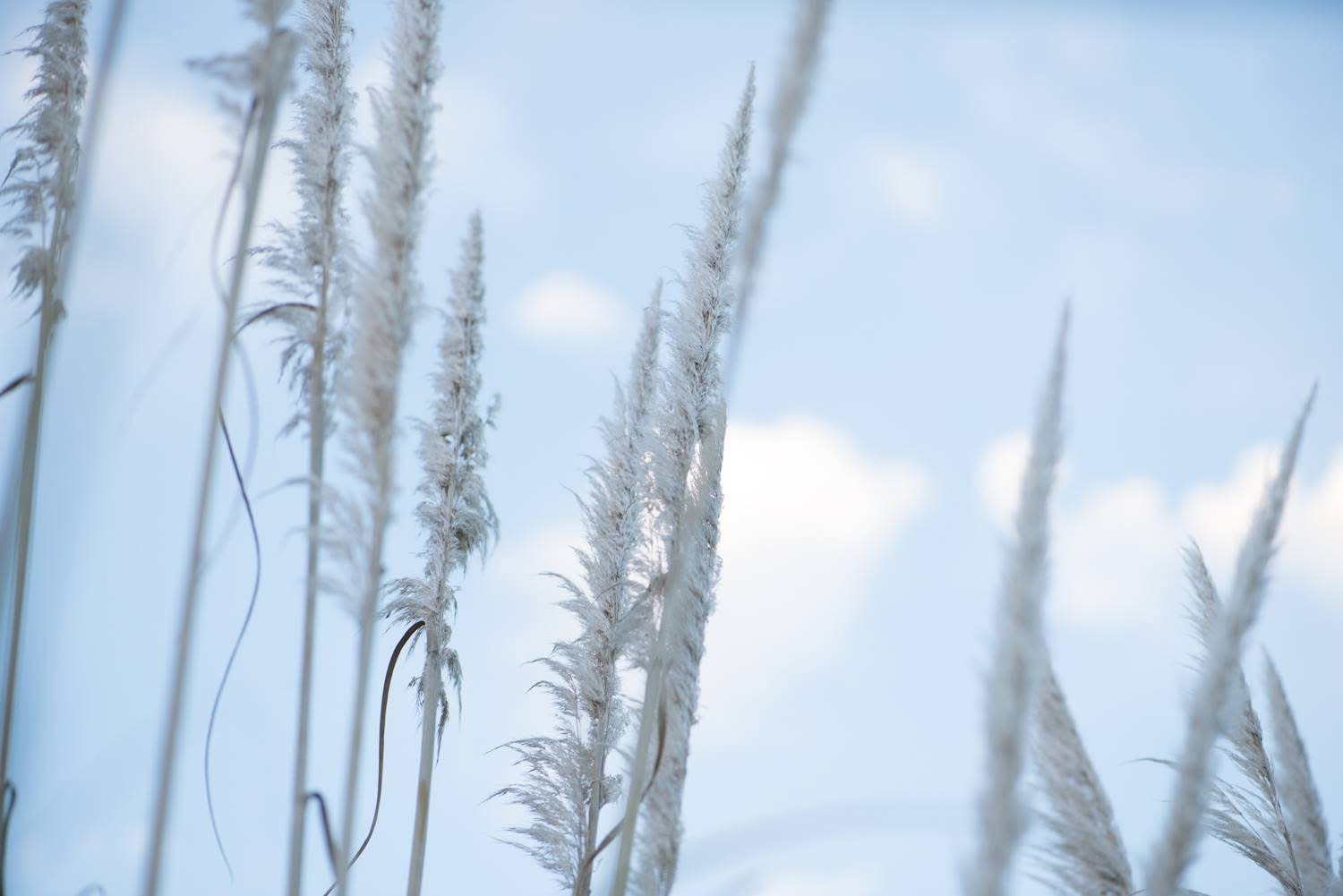 I am Wind, and Juliet is the Sun….