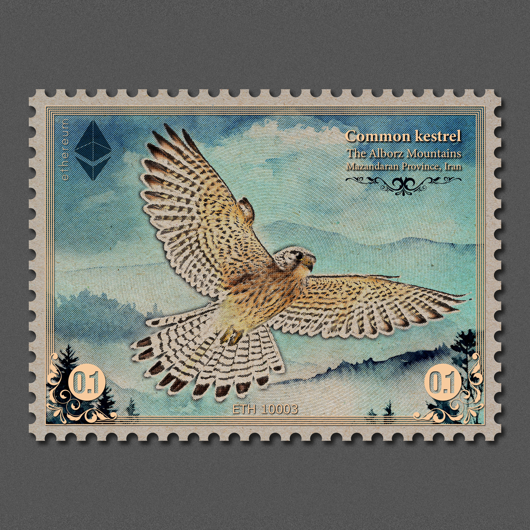 Common Kestrel