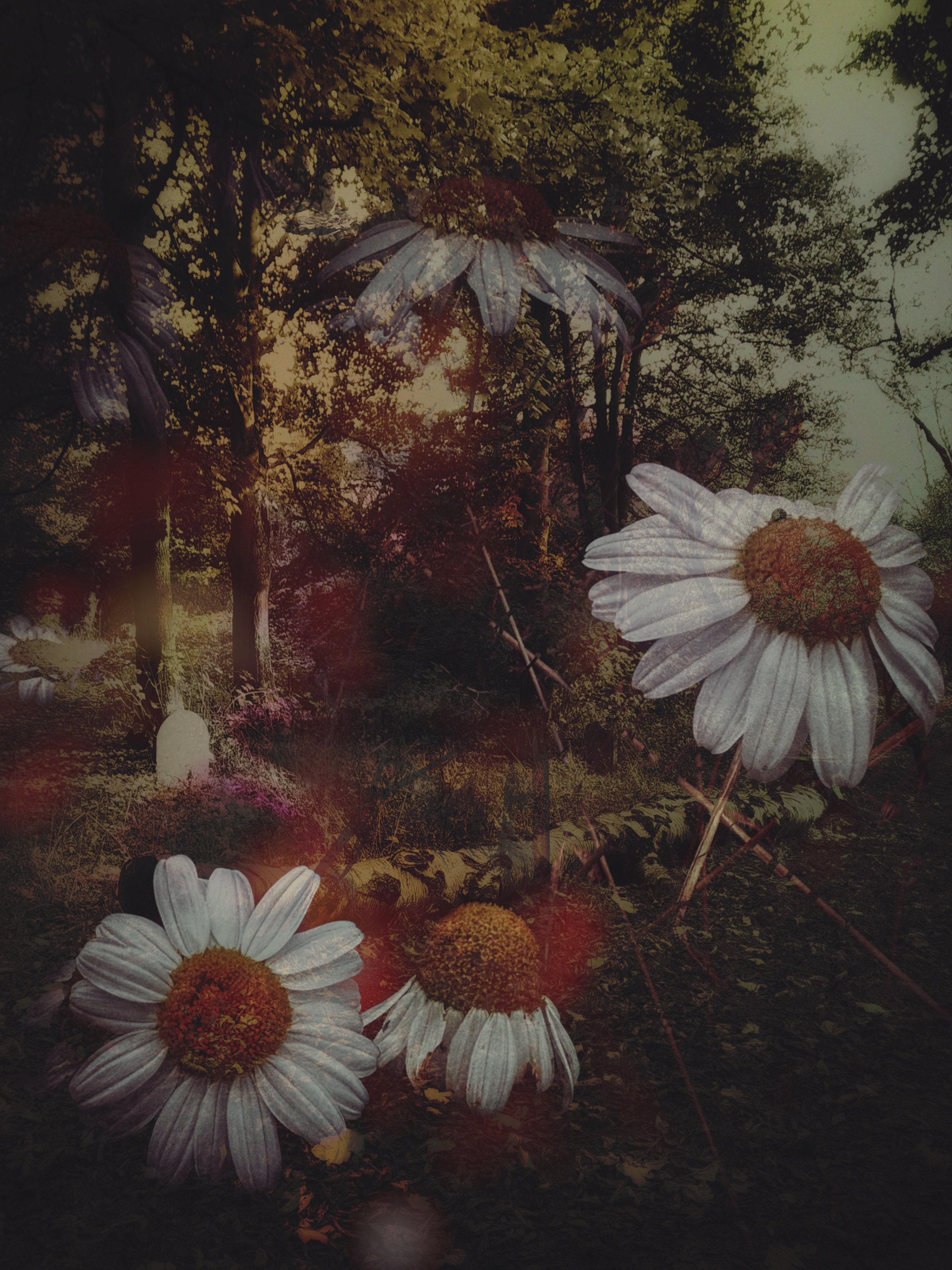 Grave Desires #504