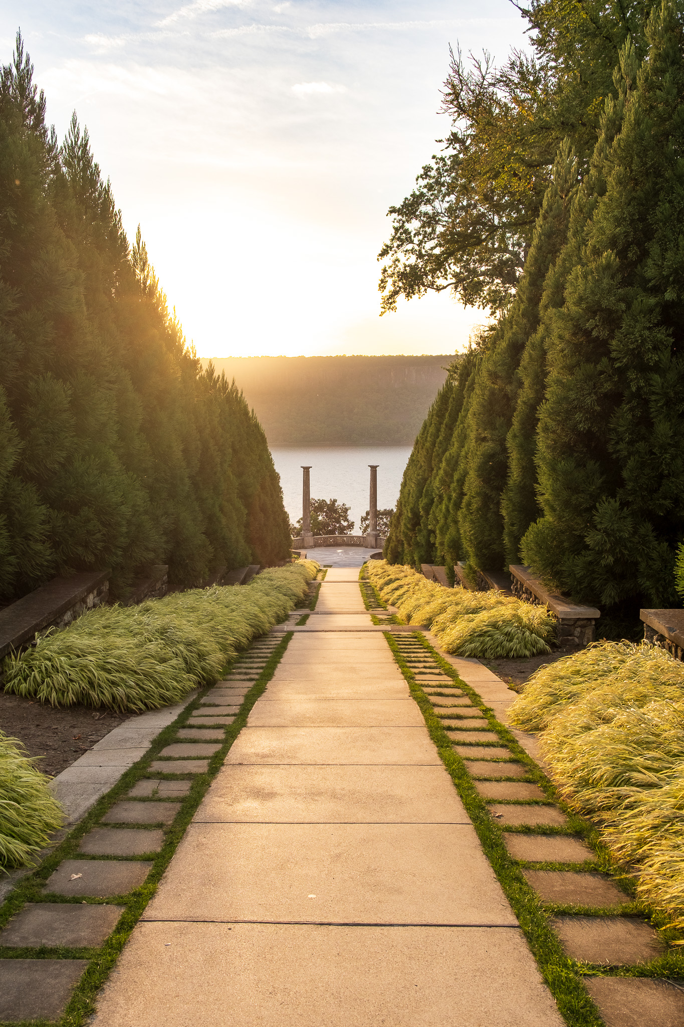 The Path