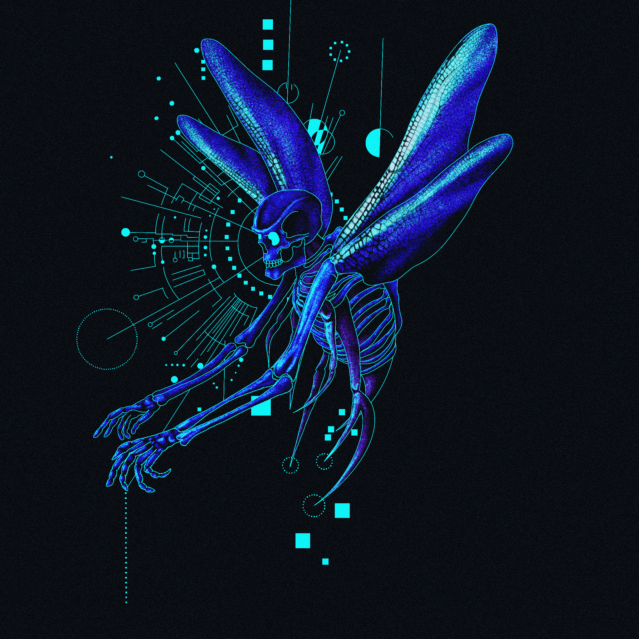 Rotation Ratio Renkarnation Mutatio