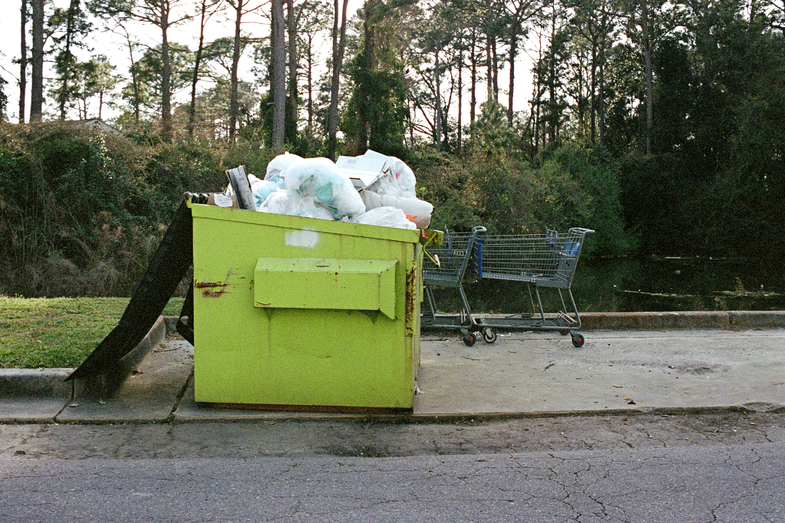 Discounted #11: Bargain Bin