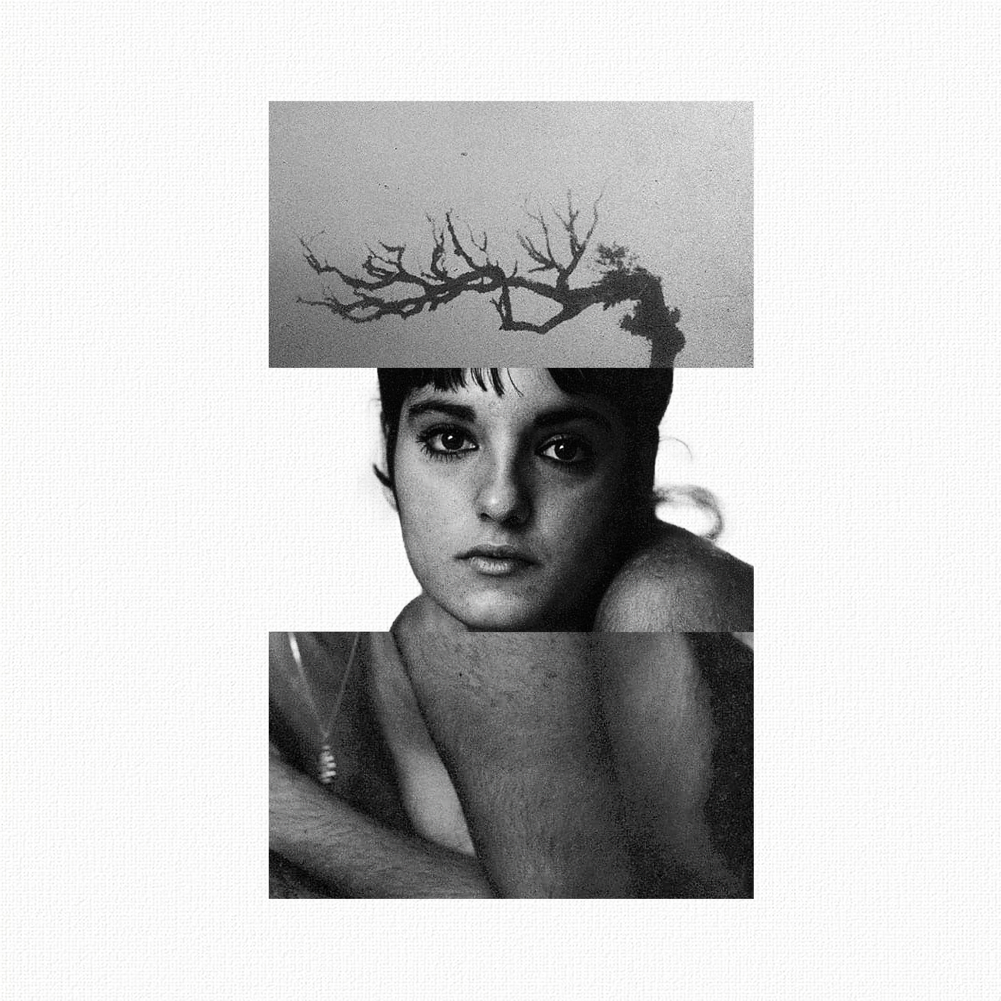 Collage N35