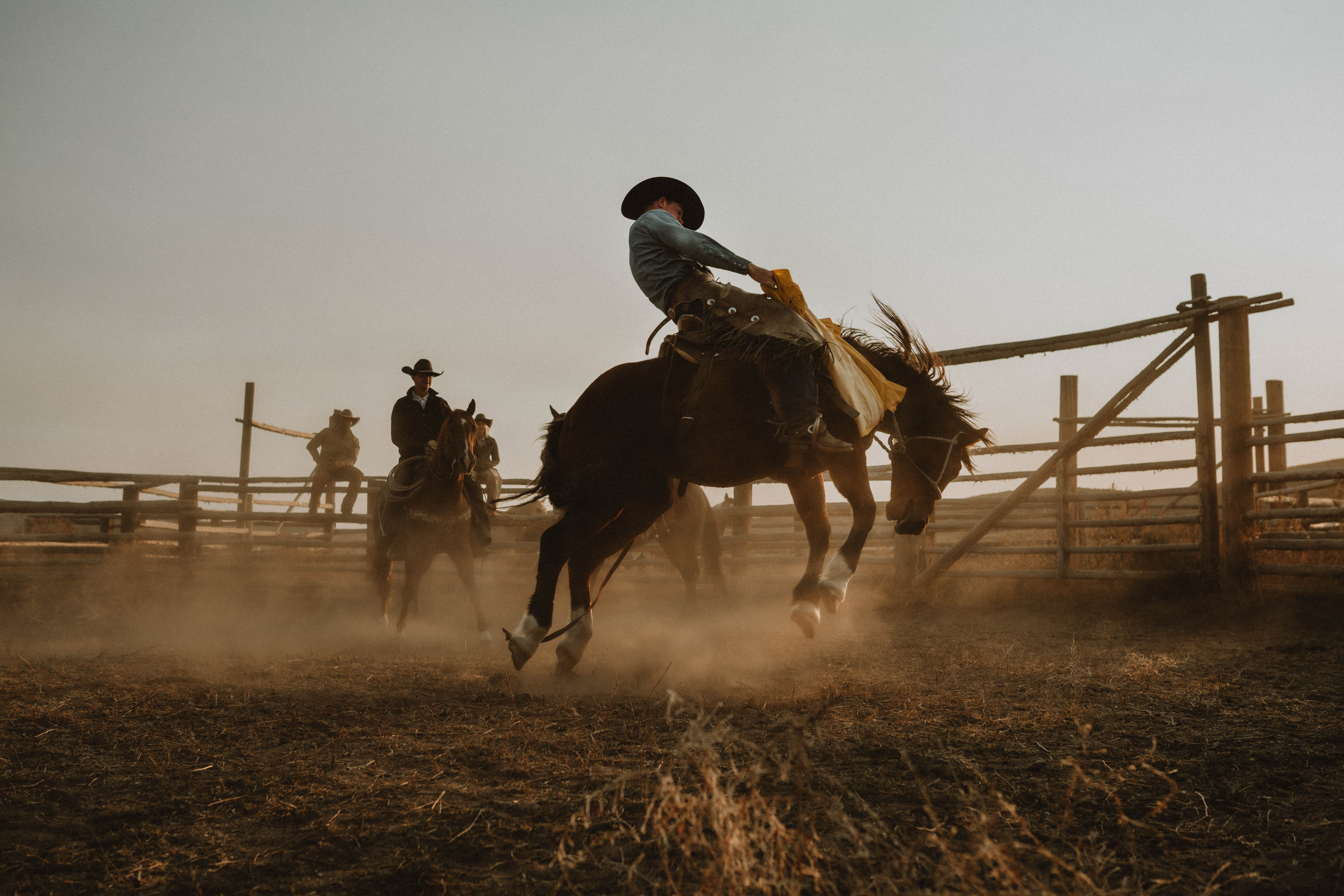 This isn’t my first rodeo