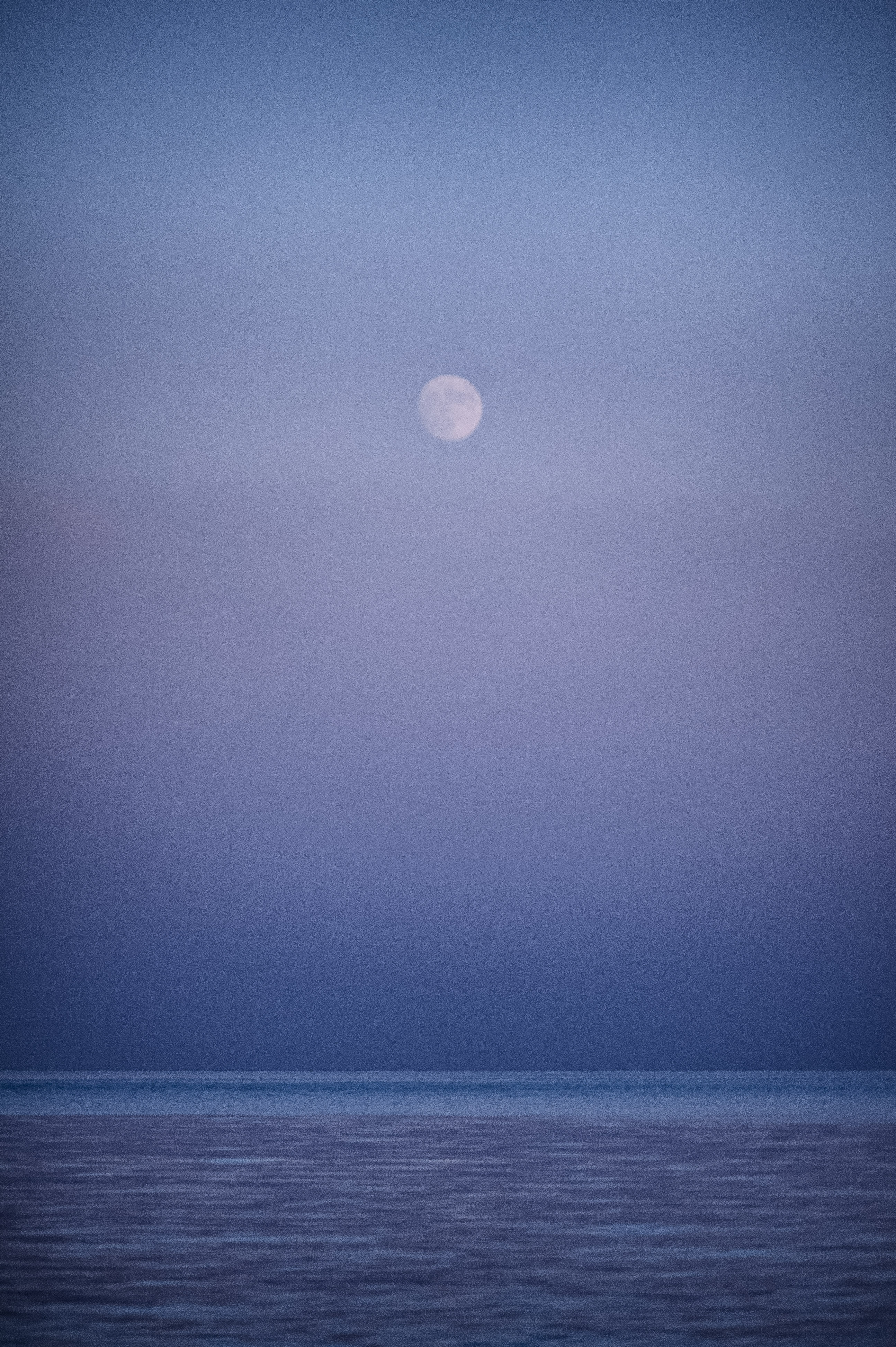 A Quiet Moment...