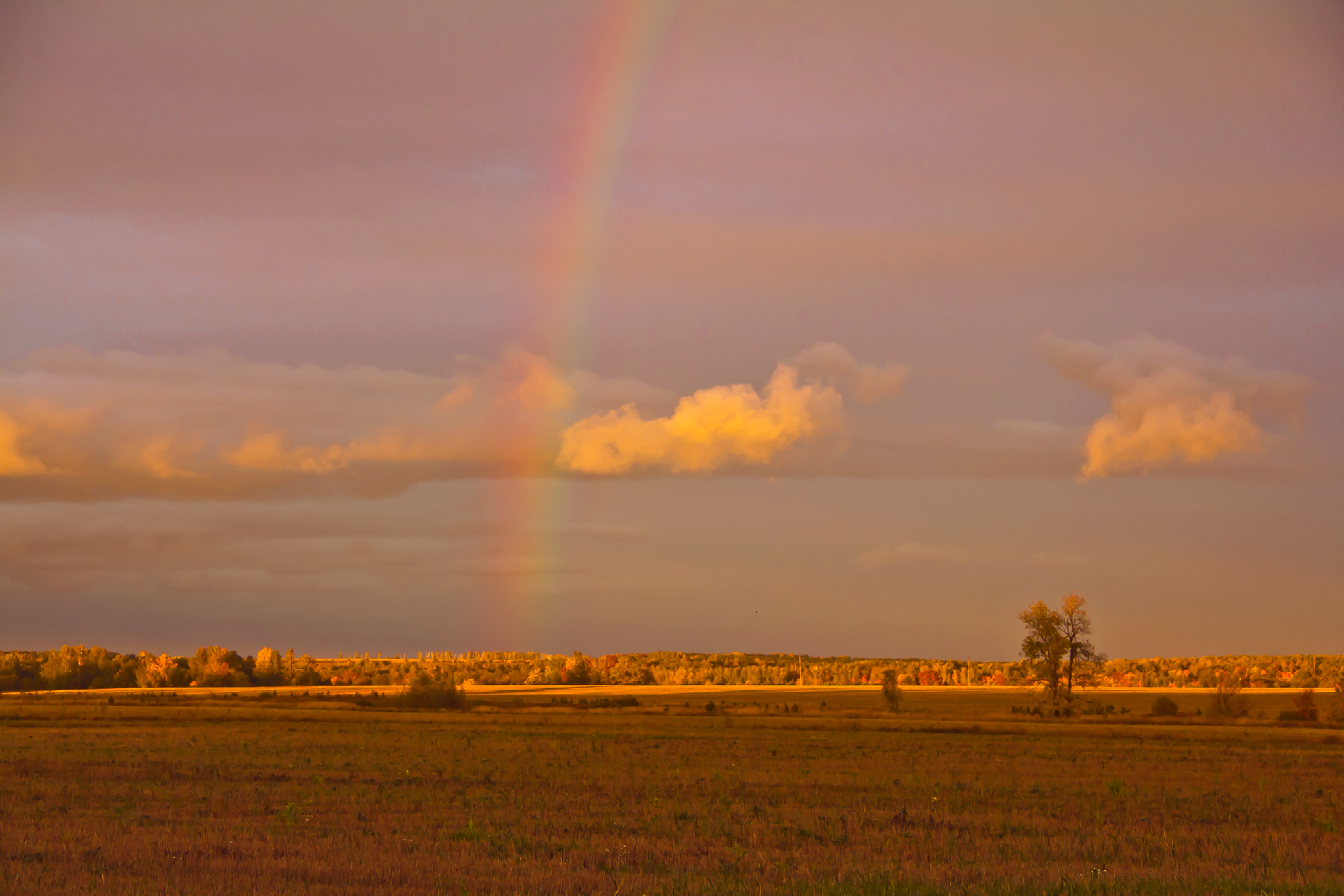 PICTURESQUE RAINBOW 518