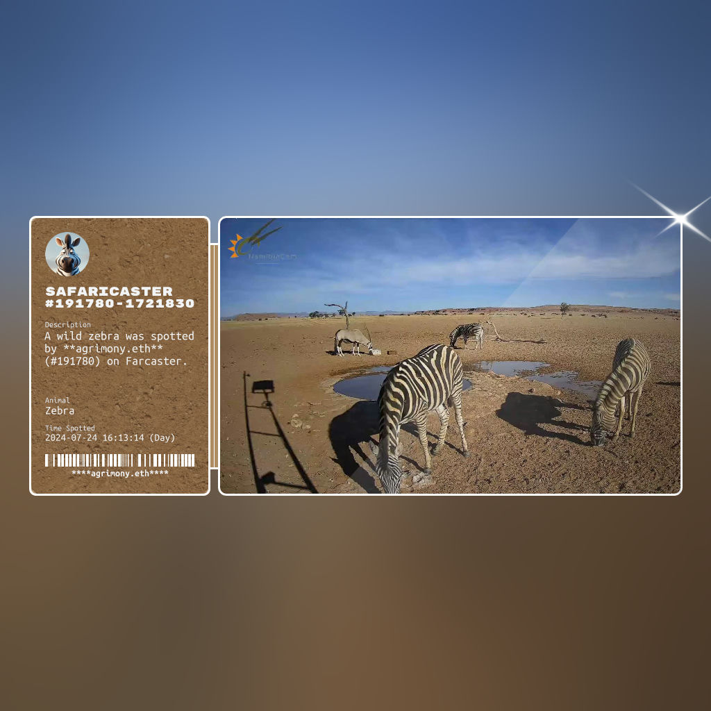 Safaricaster