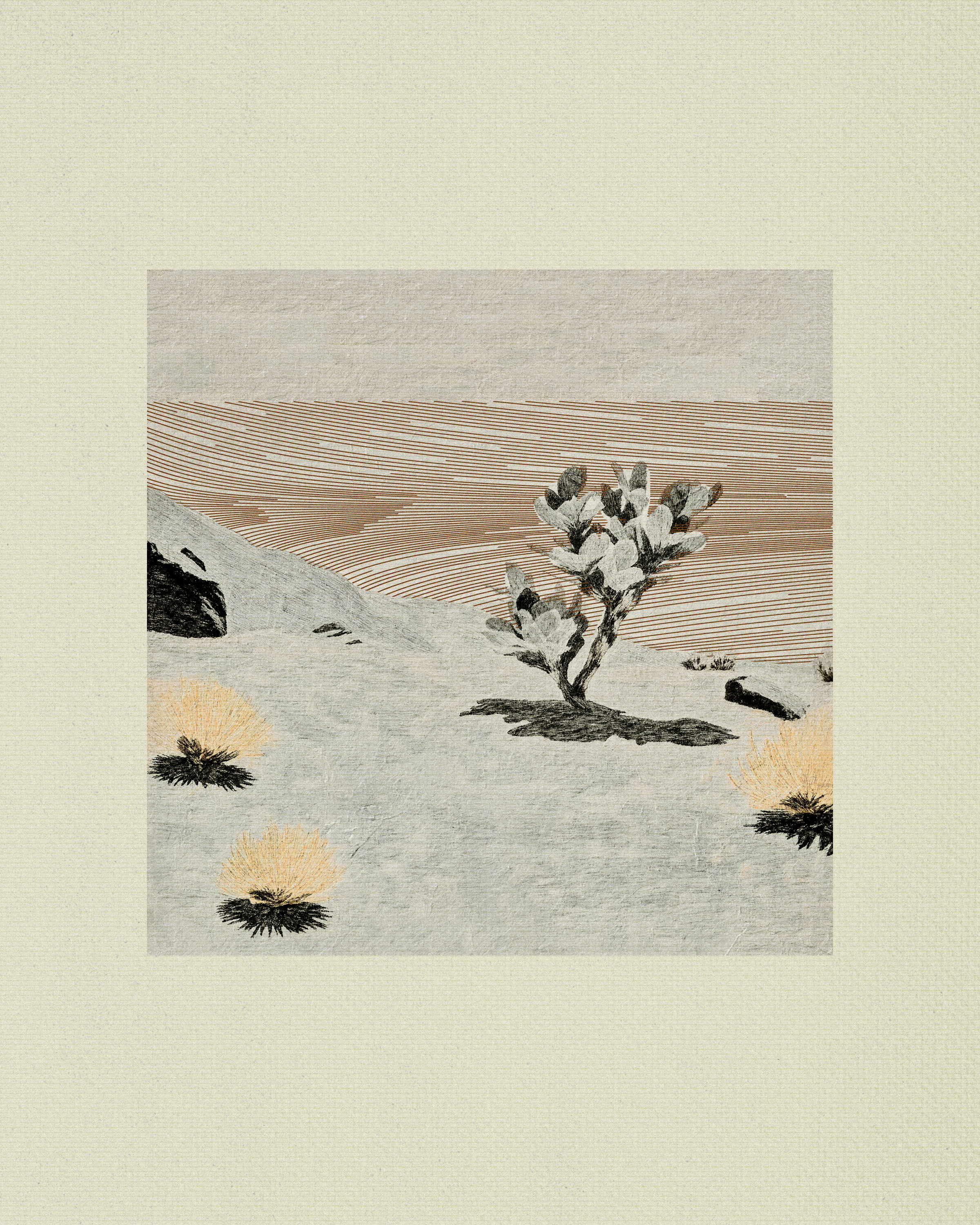 Coast #84